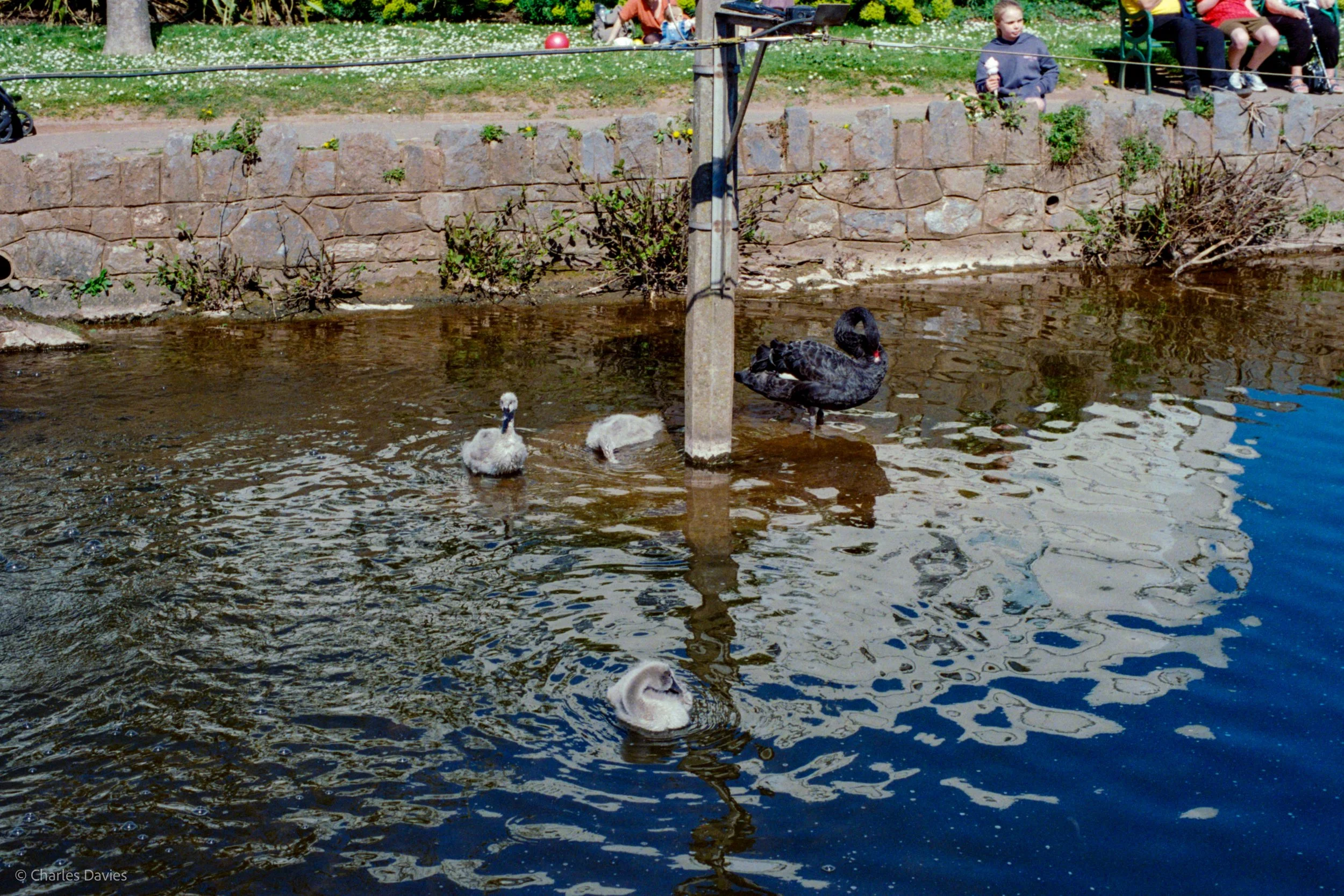 Roll 26 - 2025 - Europe - United Kingdom - Dawlish - Kodak UltraMax 400 - Contax RTS - 35mm - Film - Colour 