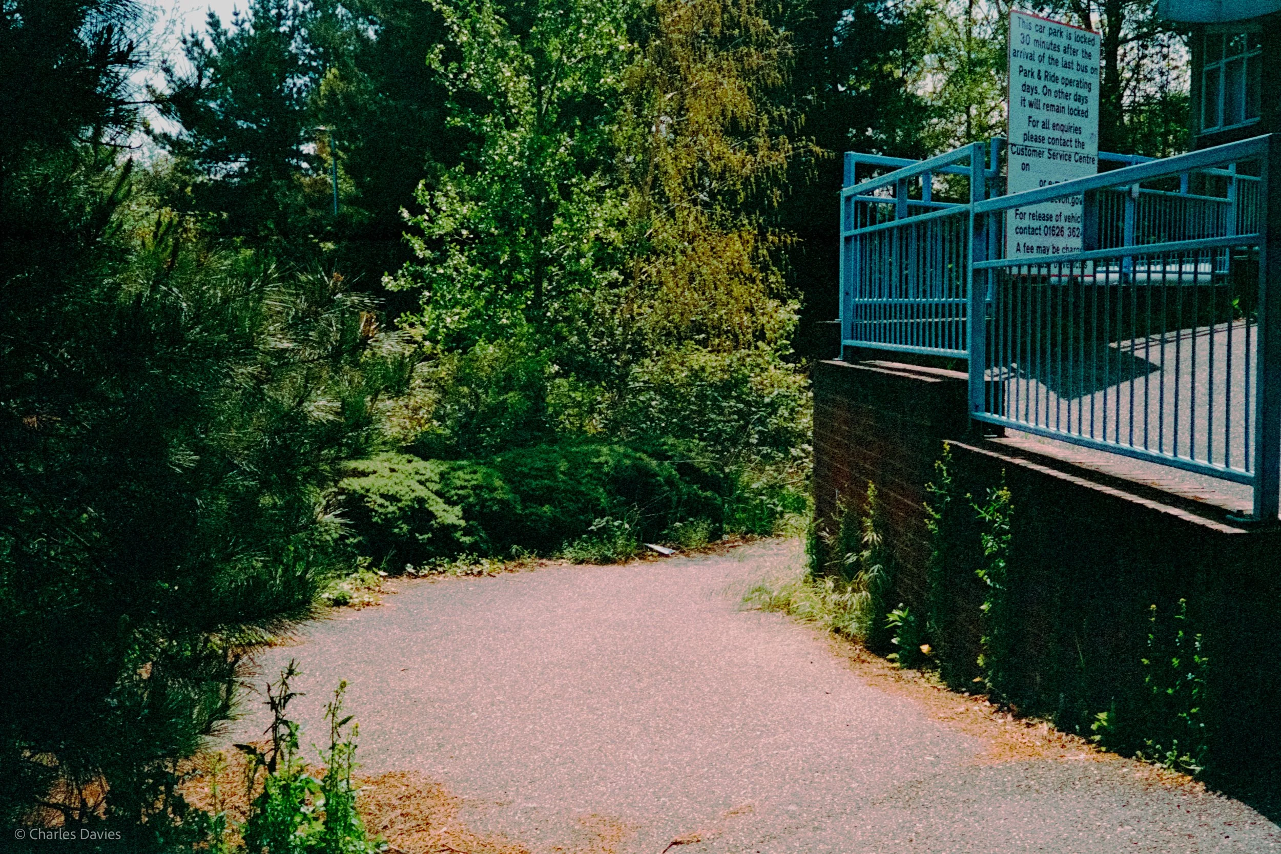 Roll 10 - 2023 - Europe - United Kingdom - Exeter - Kodak UltraMax 400 - Olympus 35DC - 35mm - Film - Colour 