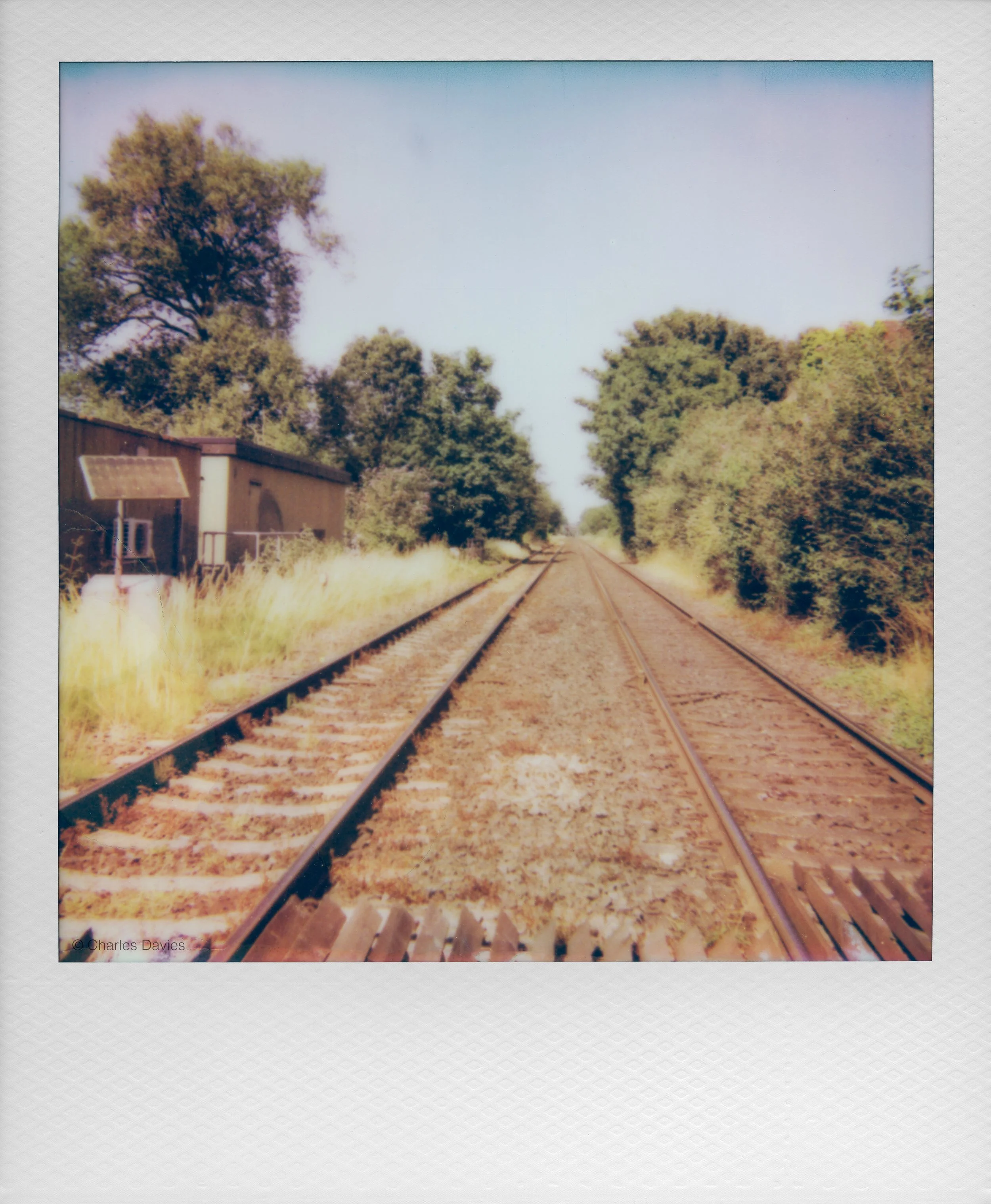 008 - 2026 - Polaroid Autofocus 660.jpg