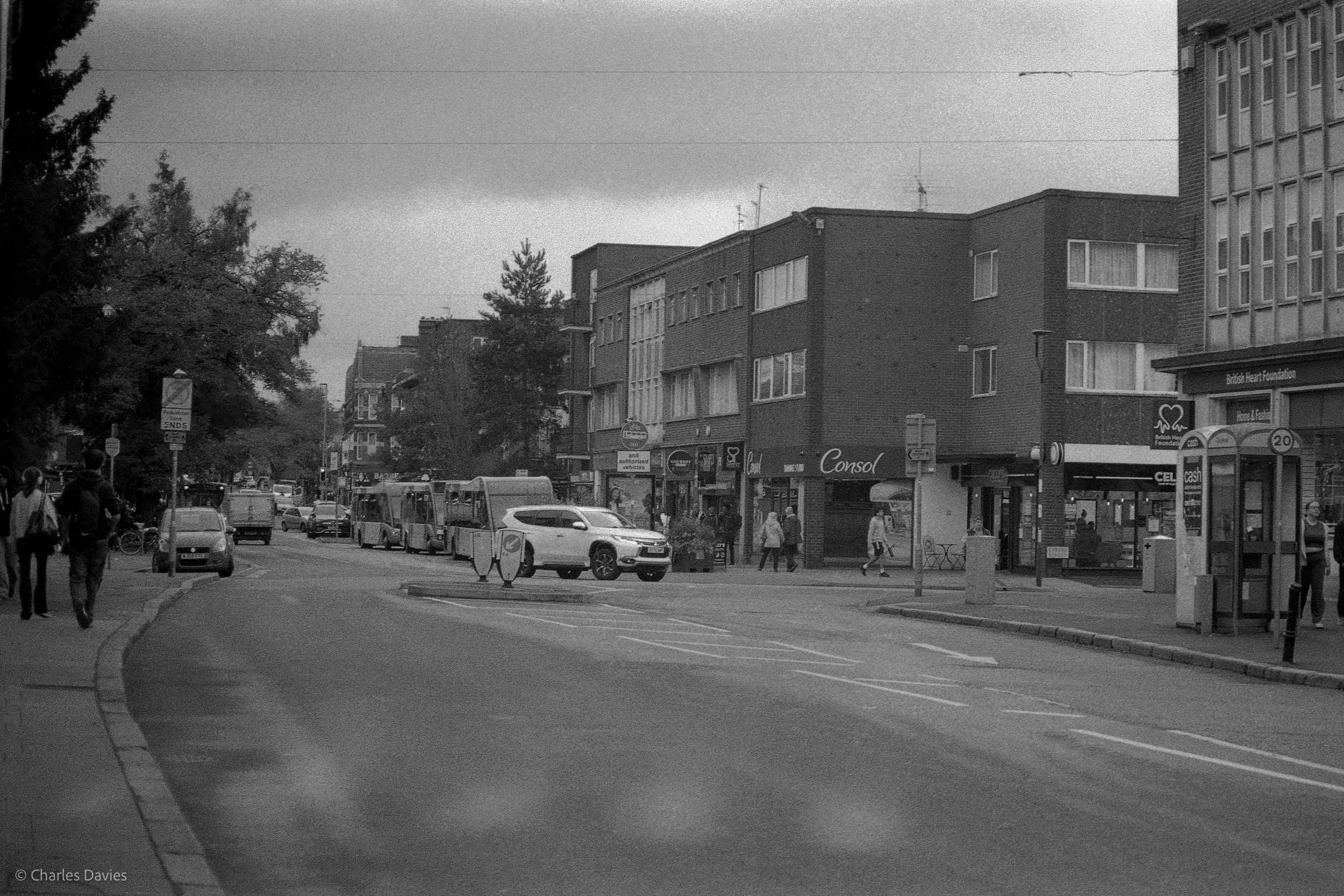 010.jpg