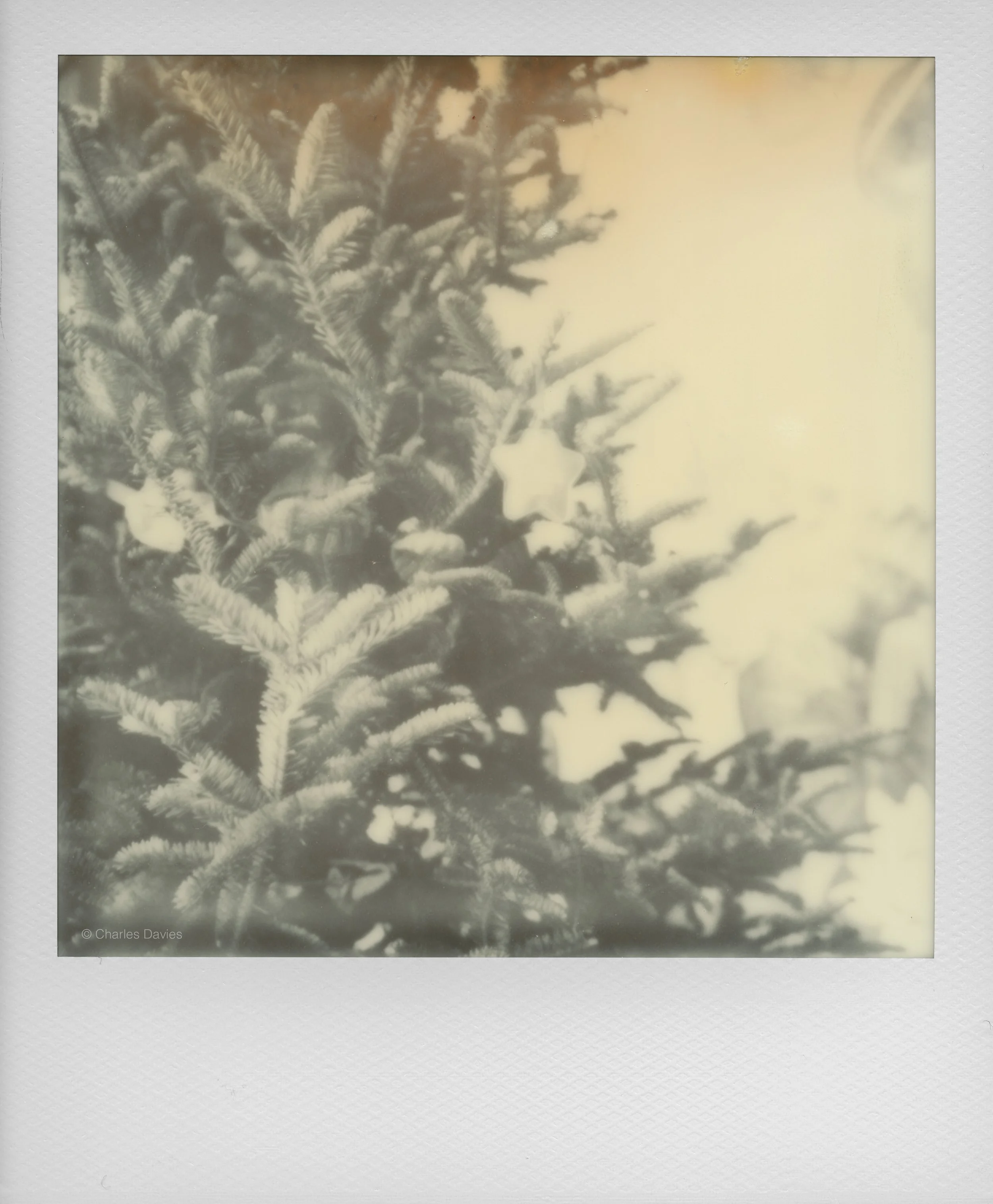 120 - 2022 - Polaroid SX-70 Sonar (aged).jpg