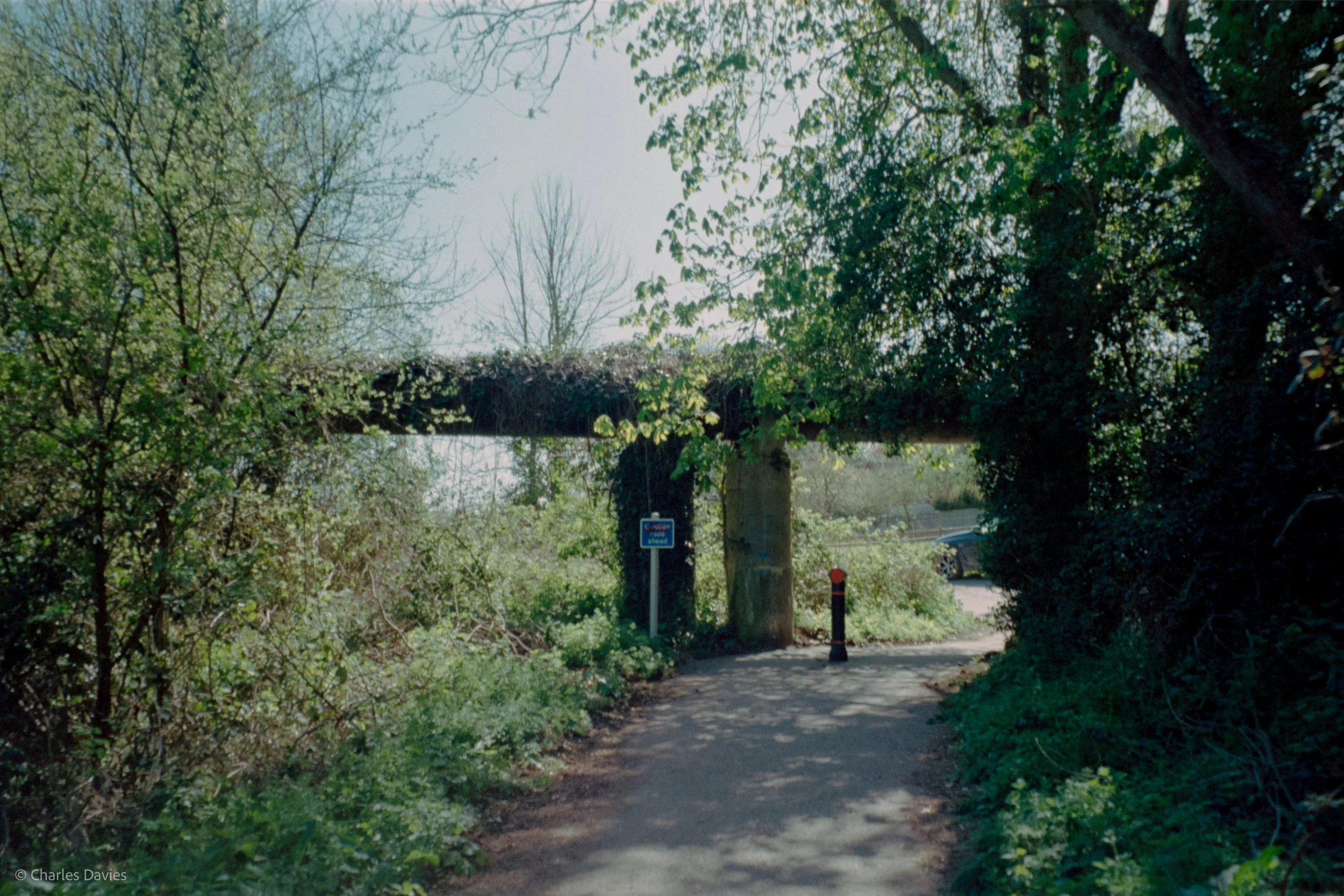 Shot 16 - Auto - Seaton Wetlands 
