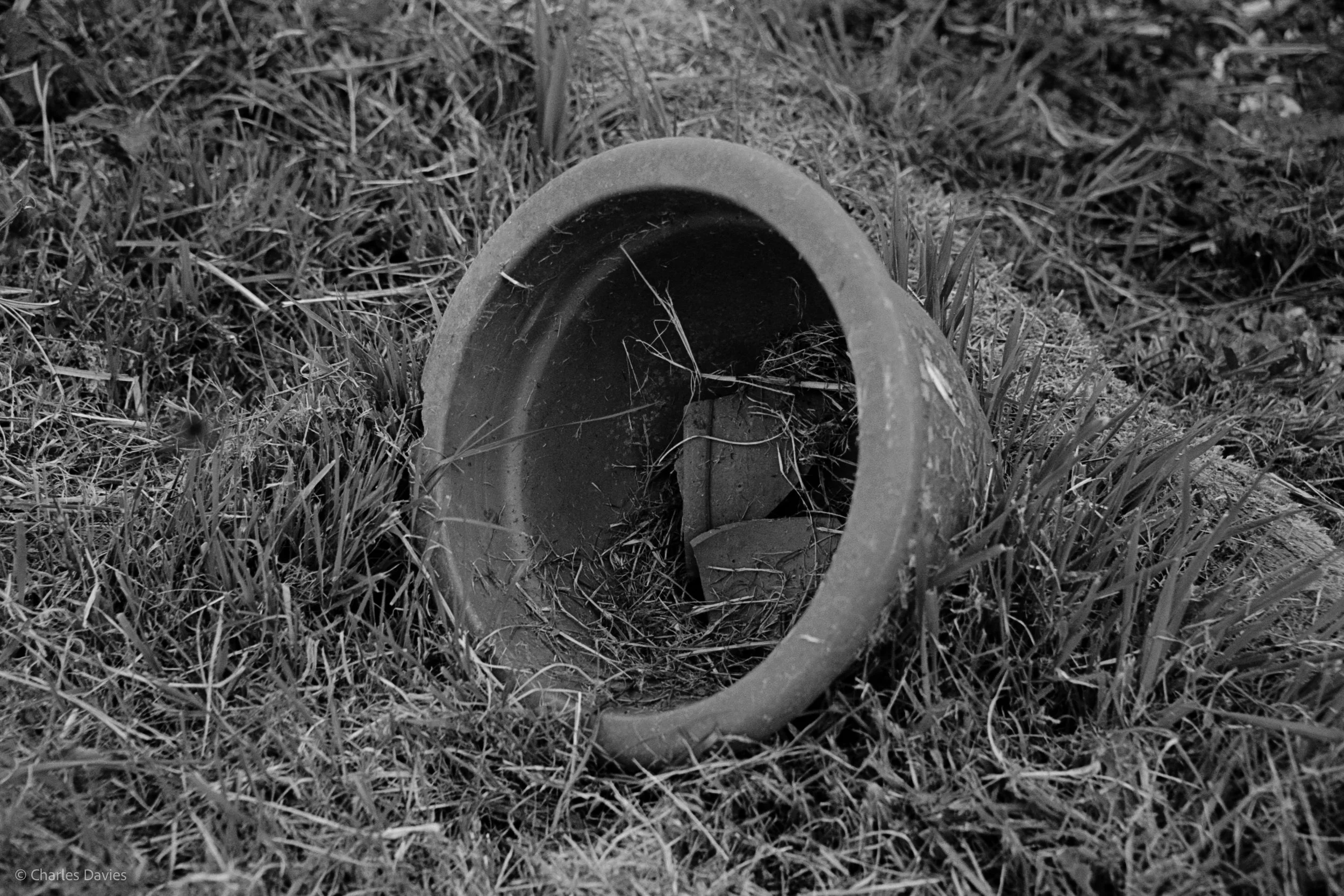 Shot 13 - Shutter Priority - Shute 