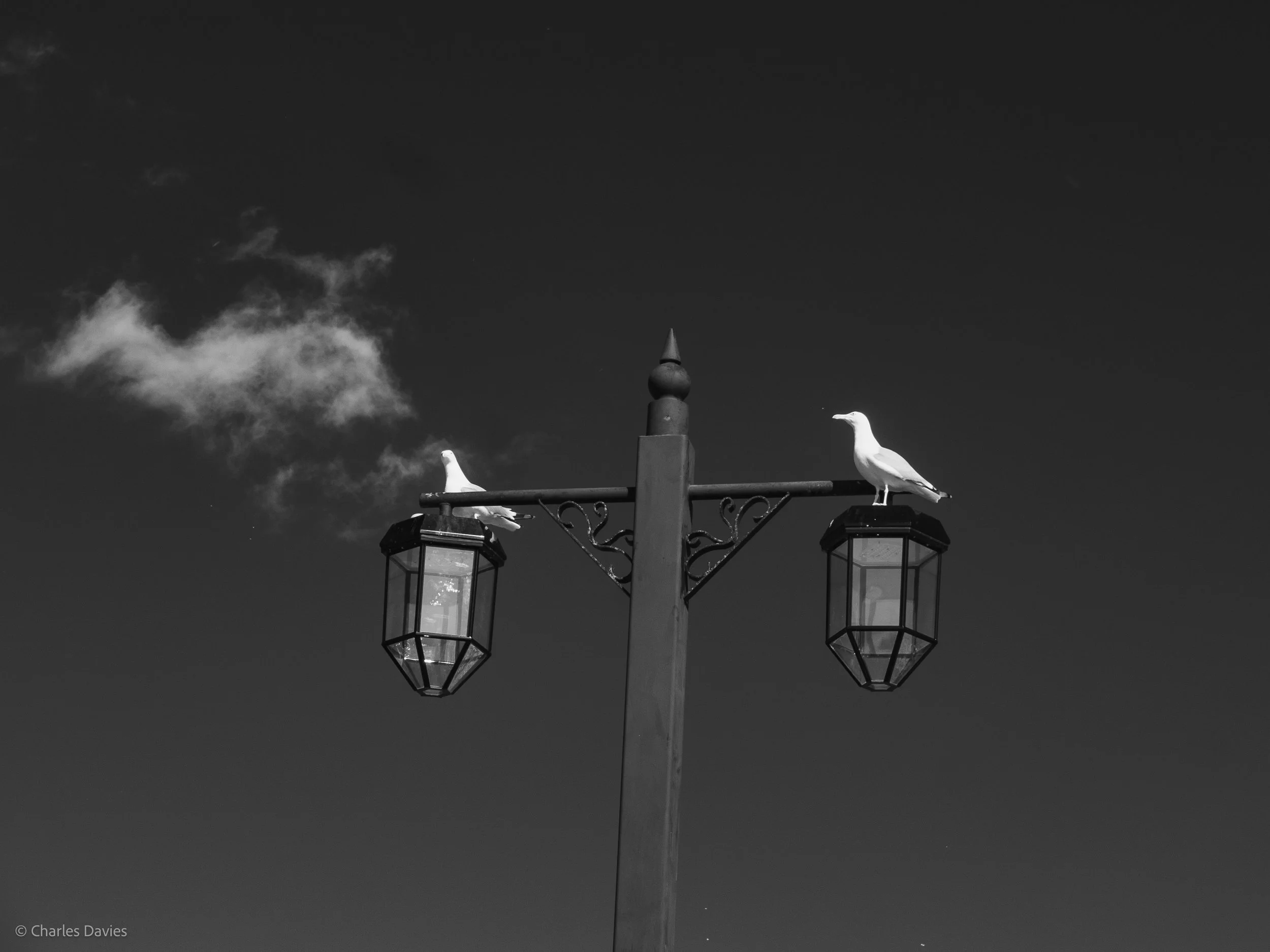 Manual - ISO 100 + F/8 + 1/125th - Sidmouth  
