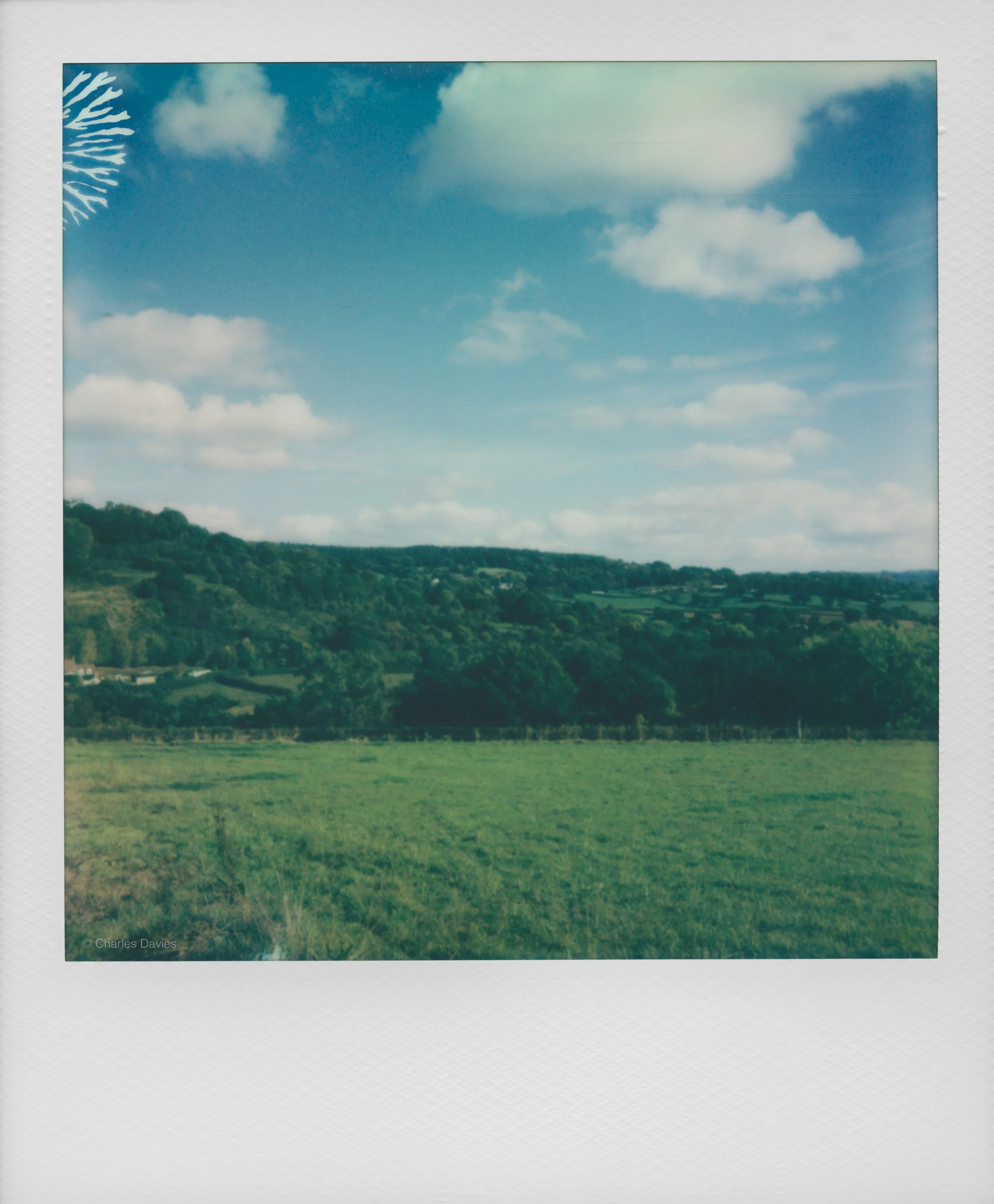 37 - 2022 - Polaroid Now.jpg