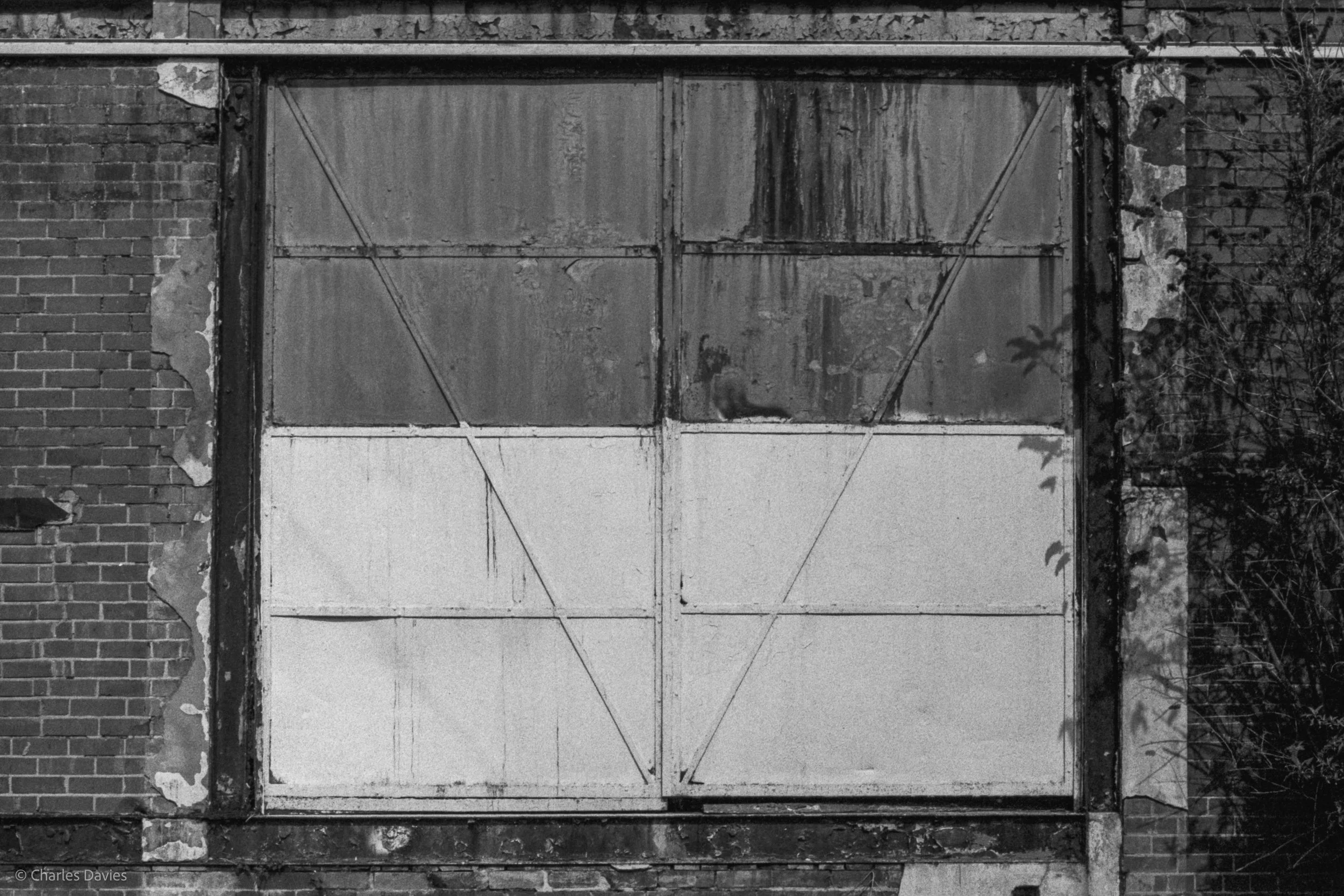Roll 28 - 2025 - Europe - United Kingdom - Musbury - Kentmere Pan 400 - Minolta X-300 - 35mm - Film - B&W 