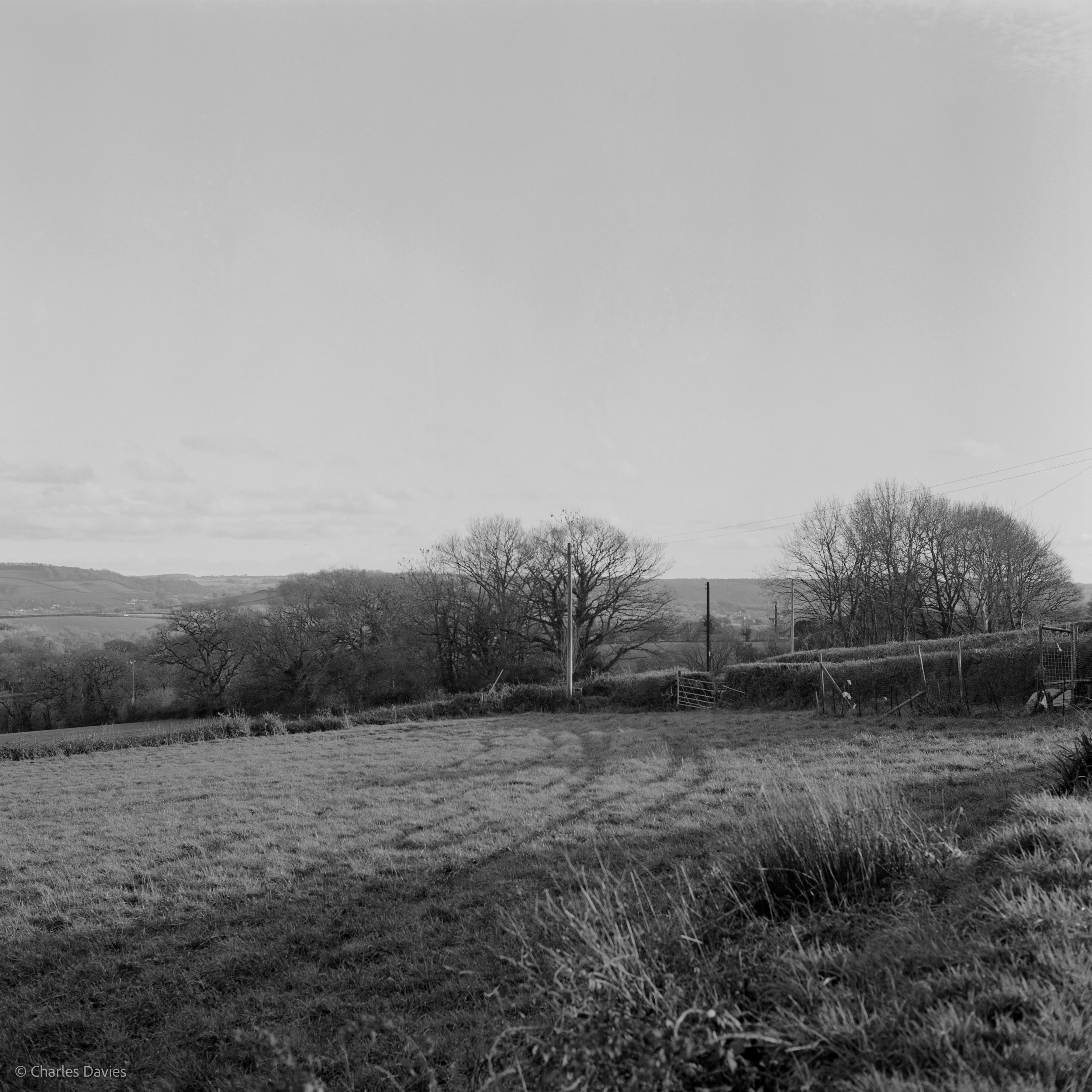 Shot 4 - Home 