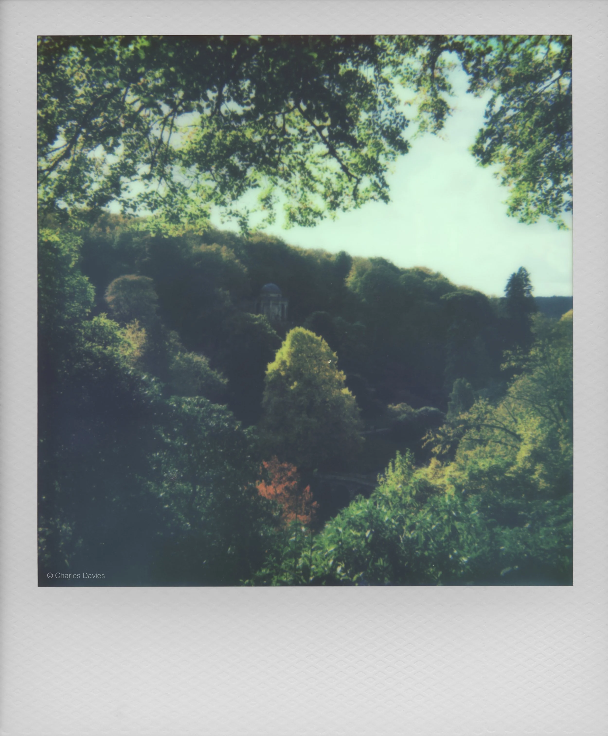 97 - 2025 - Polaroid Autofocus 660.jpg