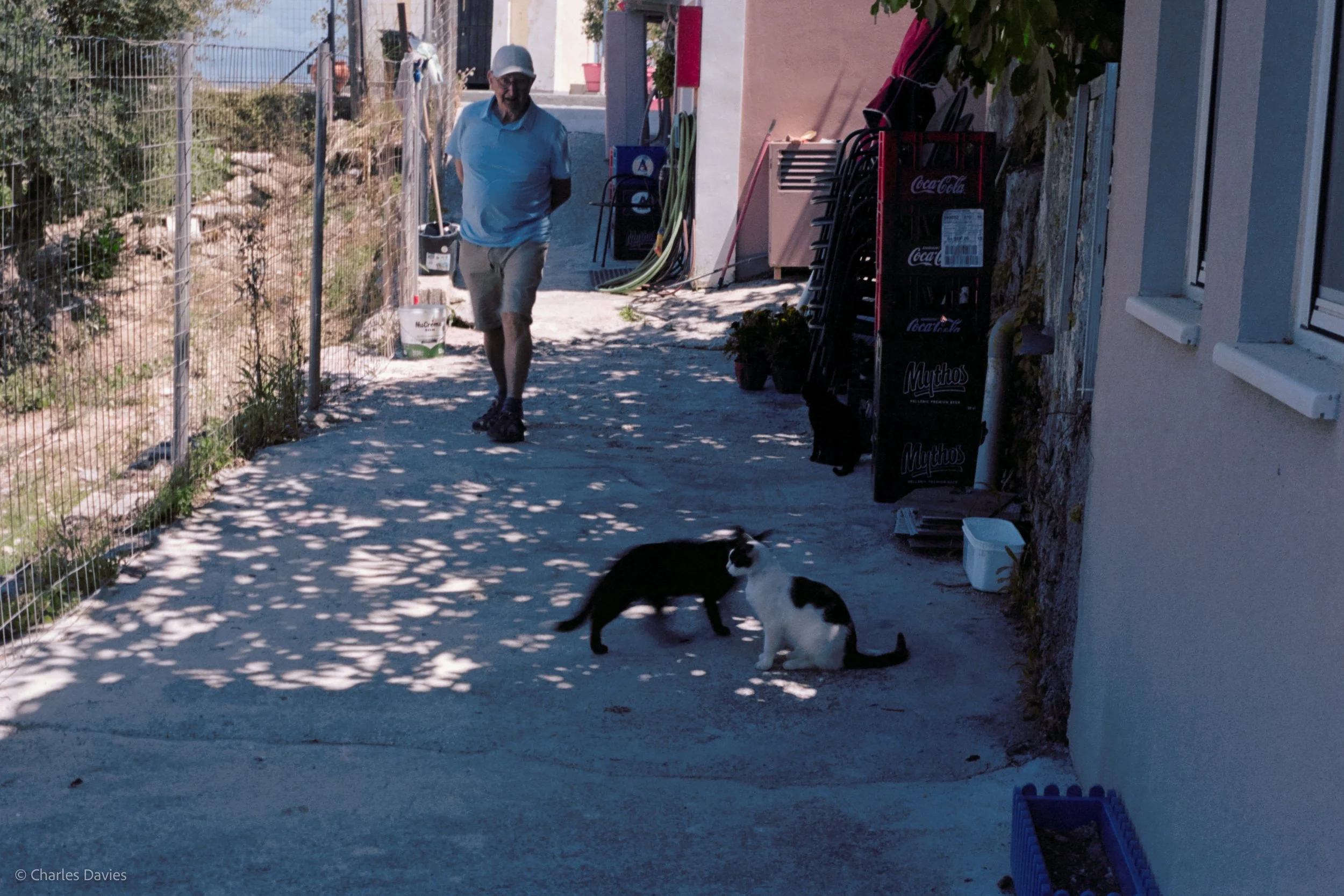 Image 24 - Aperture priority 