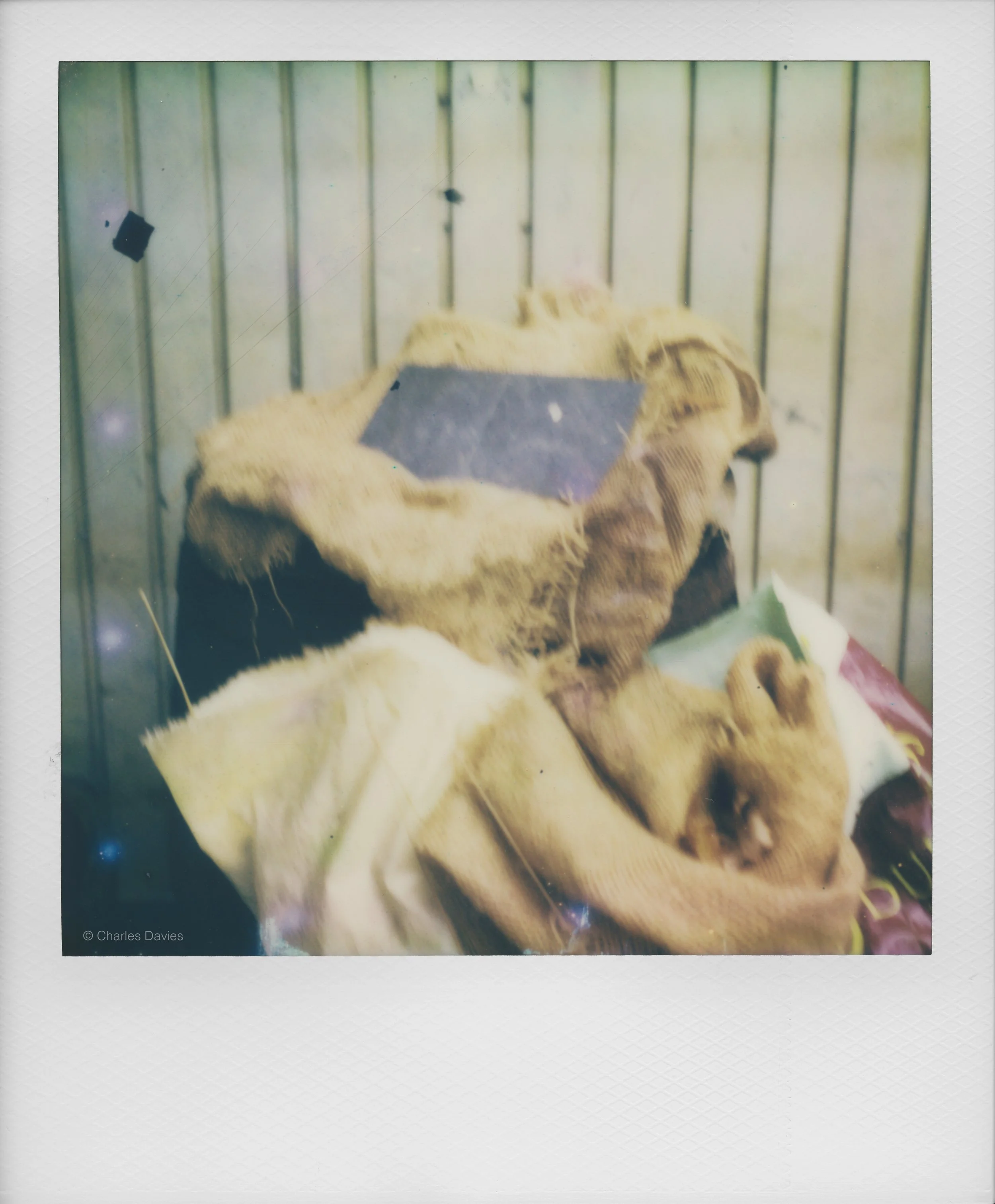 87 - 2022 - Polaroid SX-70 Sonar.jpg