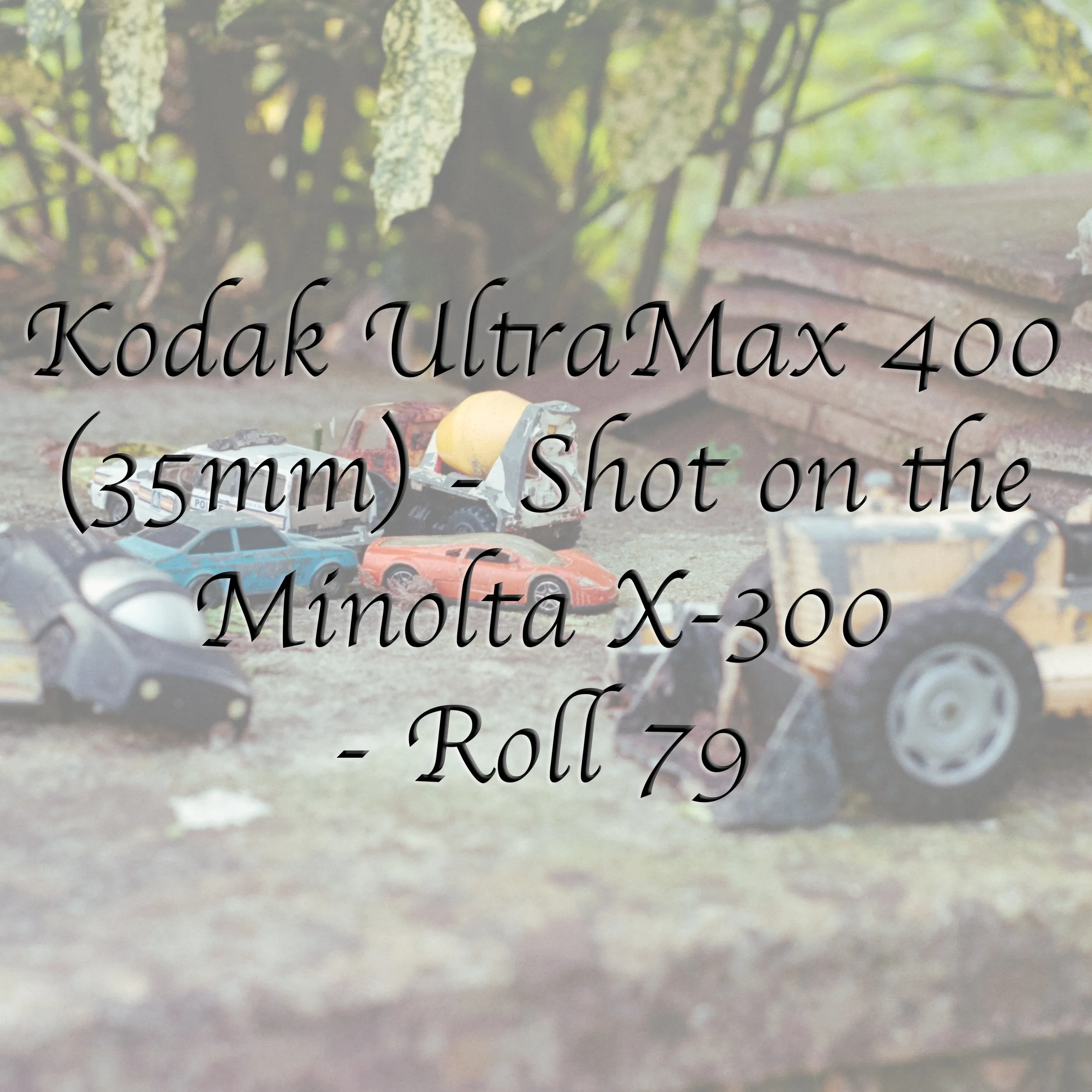 Kodak UltraMax 400 - Roll 79