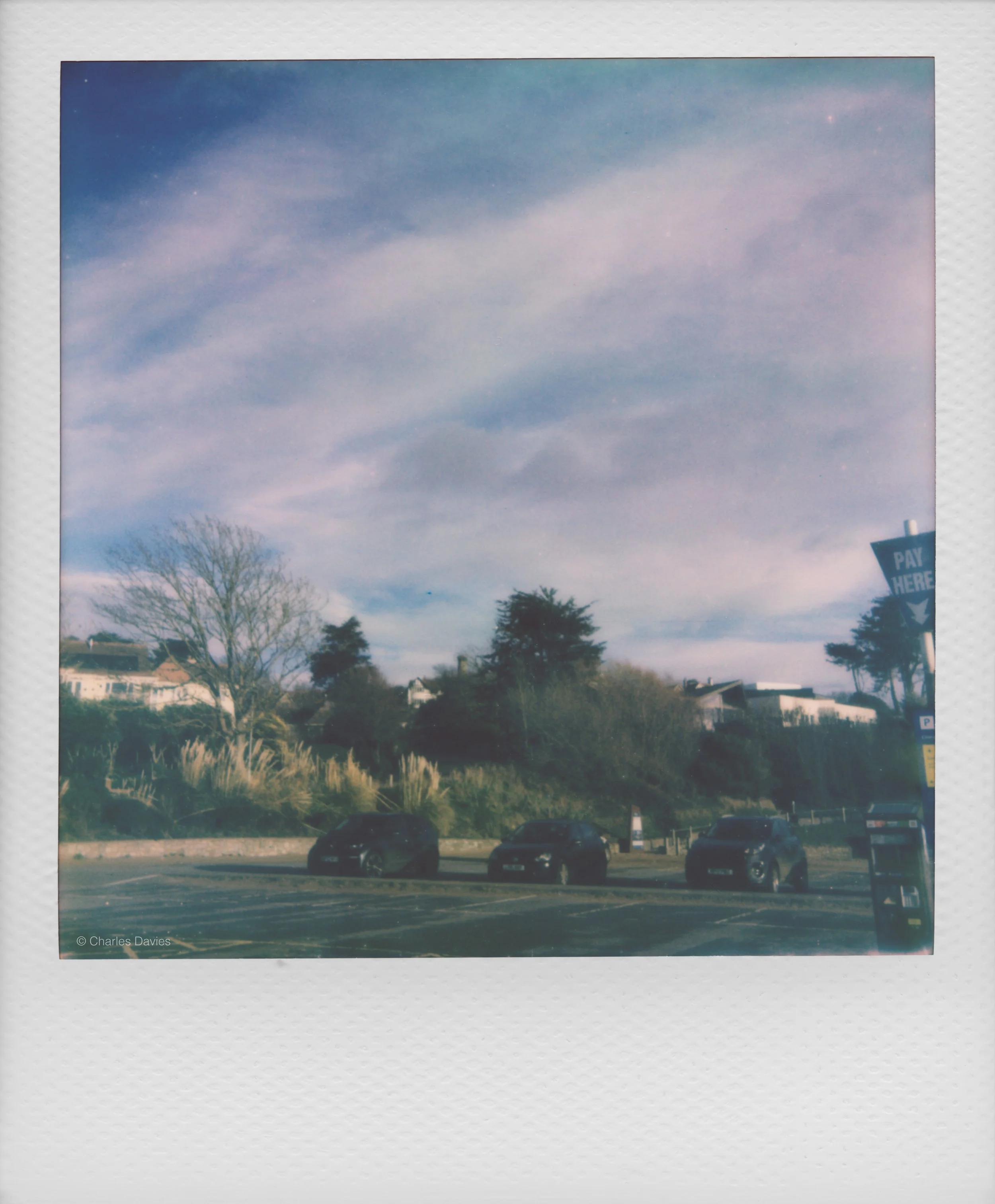 9 - 2025 - Polaroid Now.jpg