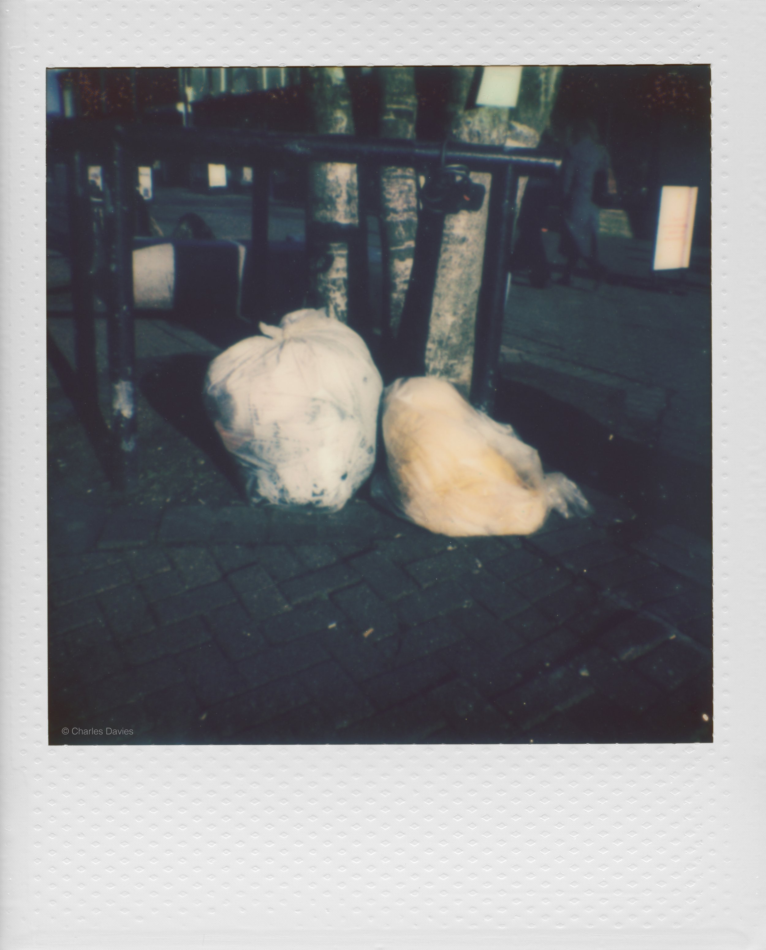 4 - 2025 - Polaroid Go.jpg