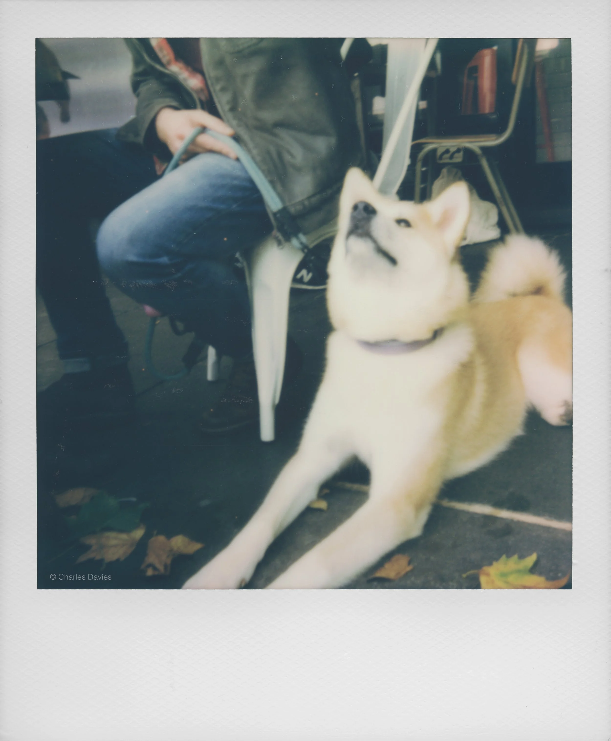 73 - 2022 - Polaroid Now.jpg