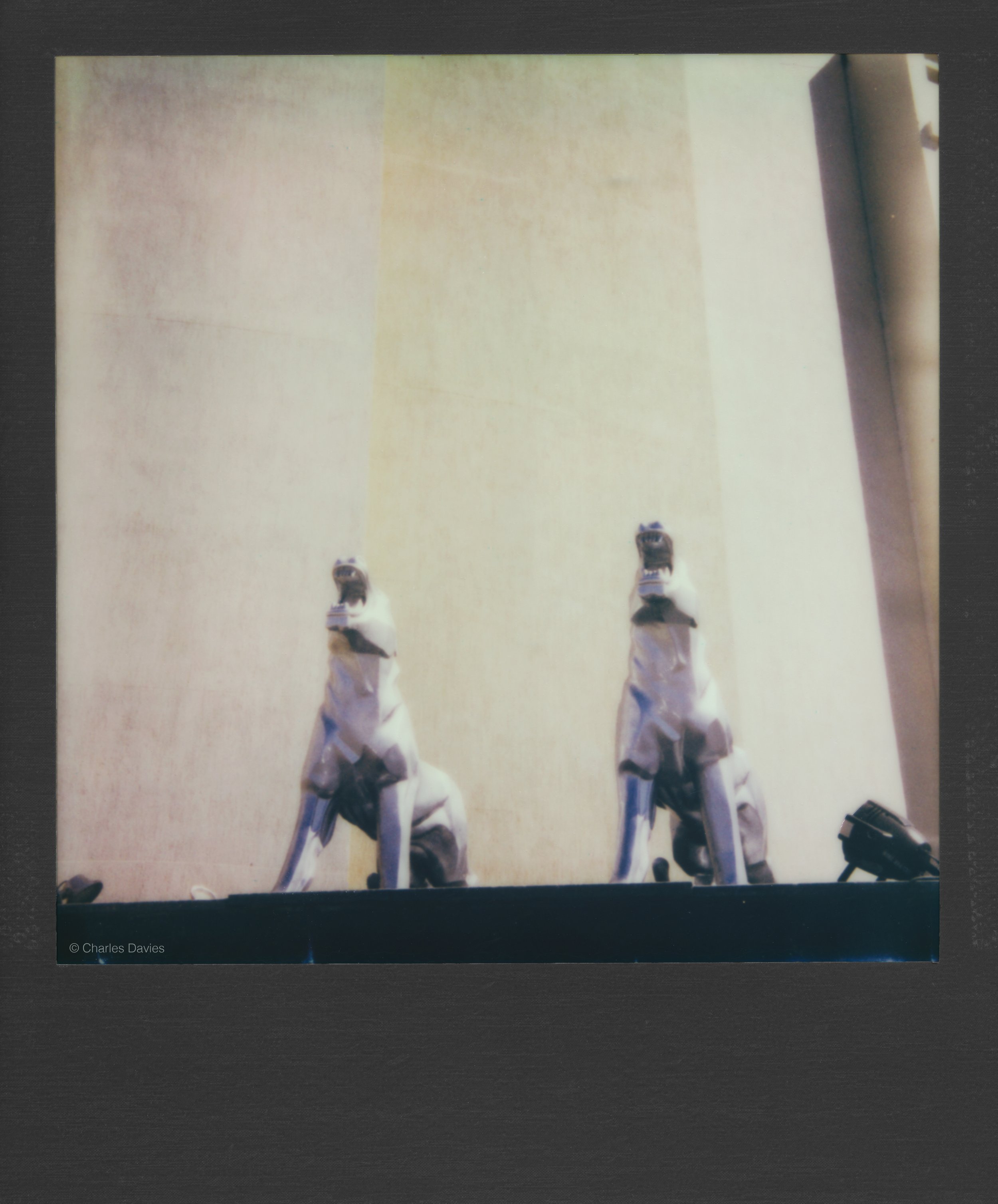 49 - 2023 - Polaroid Now.jpg