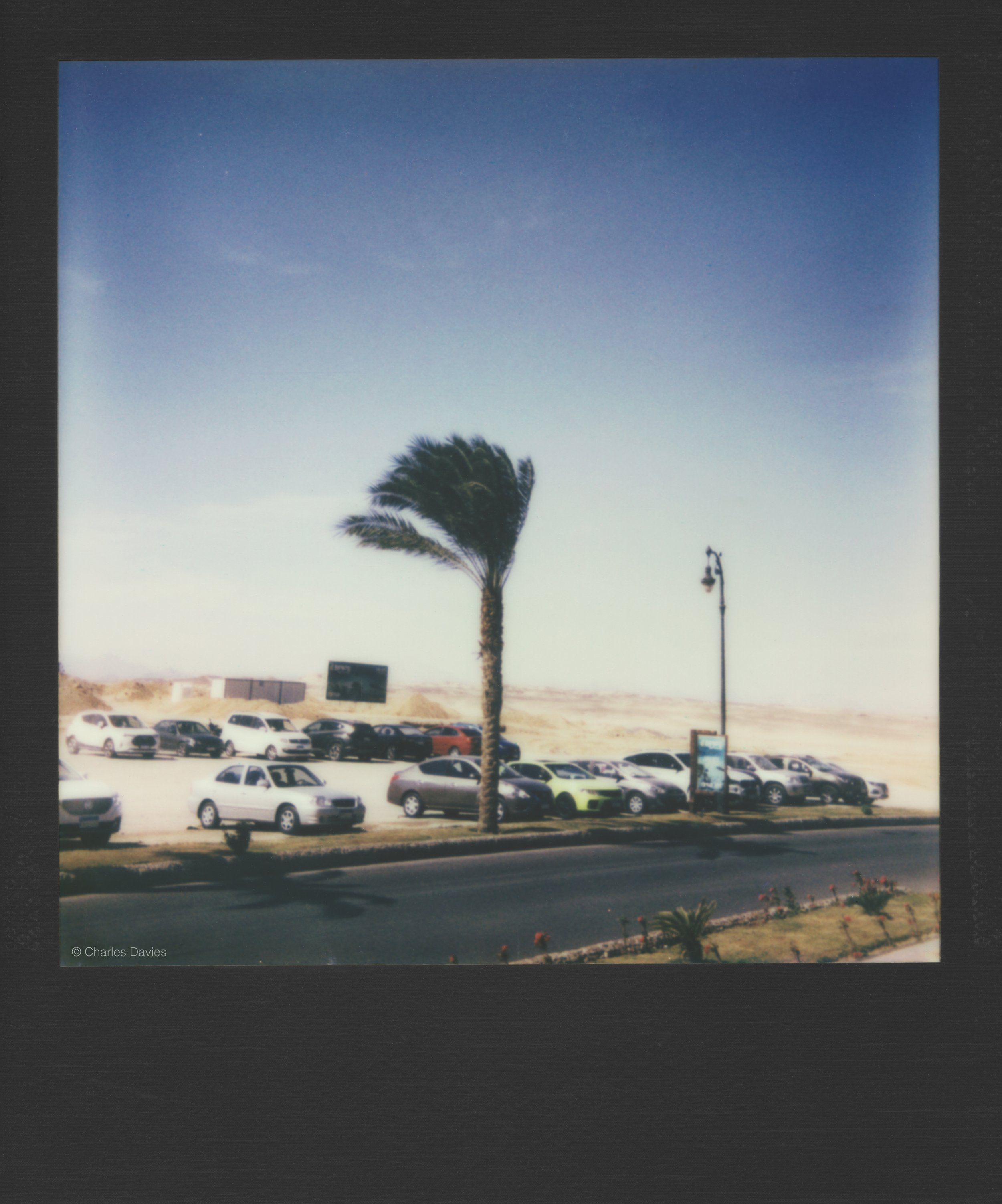 50 - 2023 - Polaroid Now.jpg