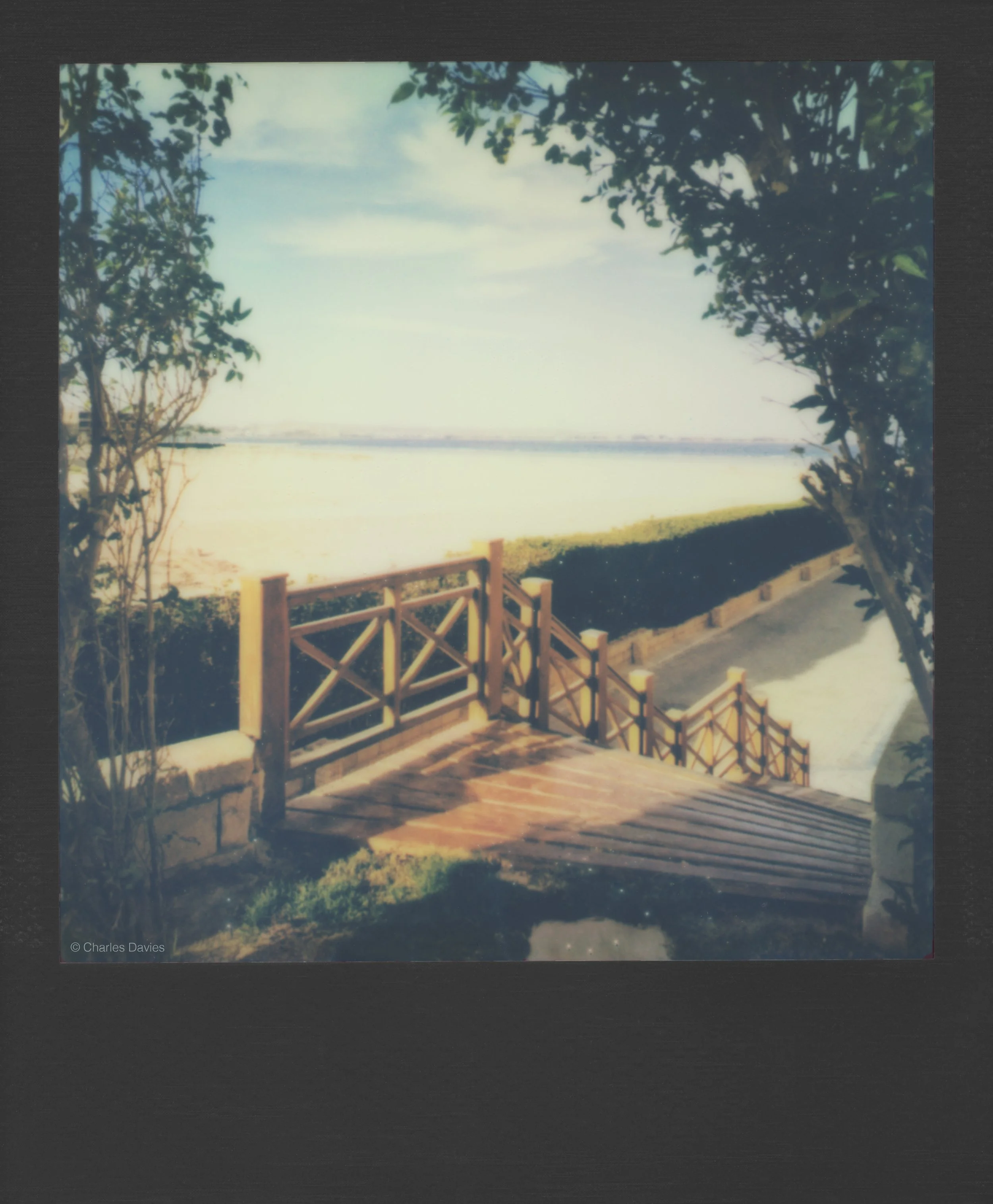 63 - 2023 - Polaroid Lab.jpg