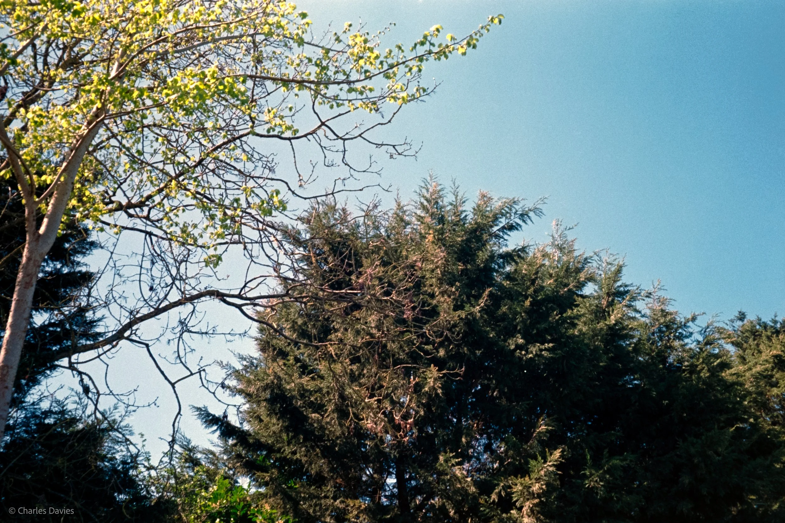 Shot 4 - Auto - Seaton Wetlands 