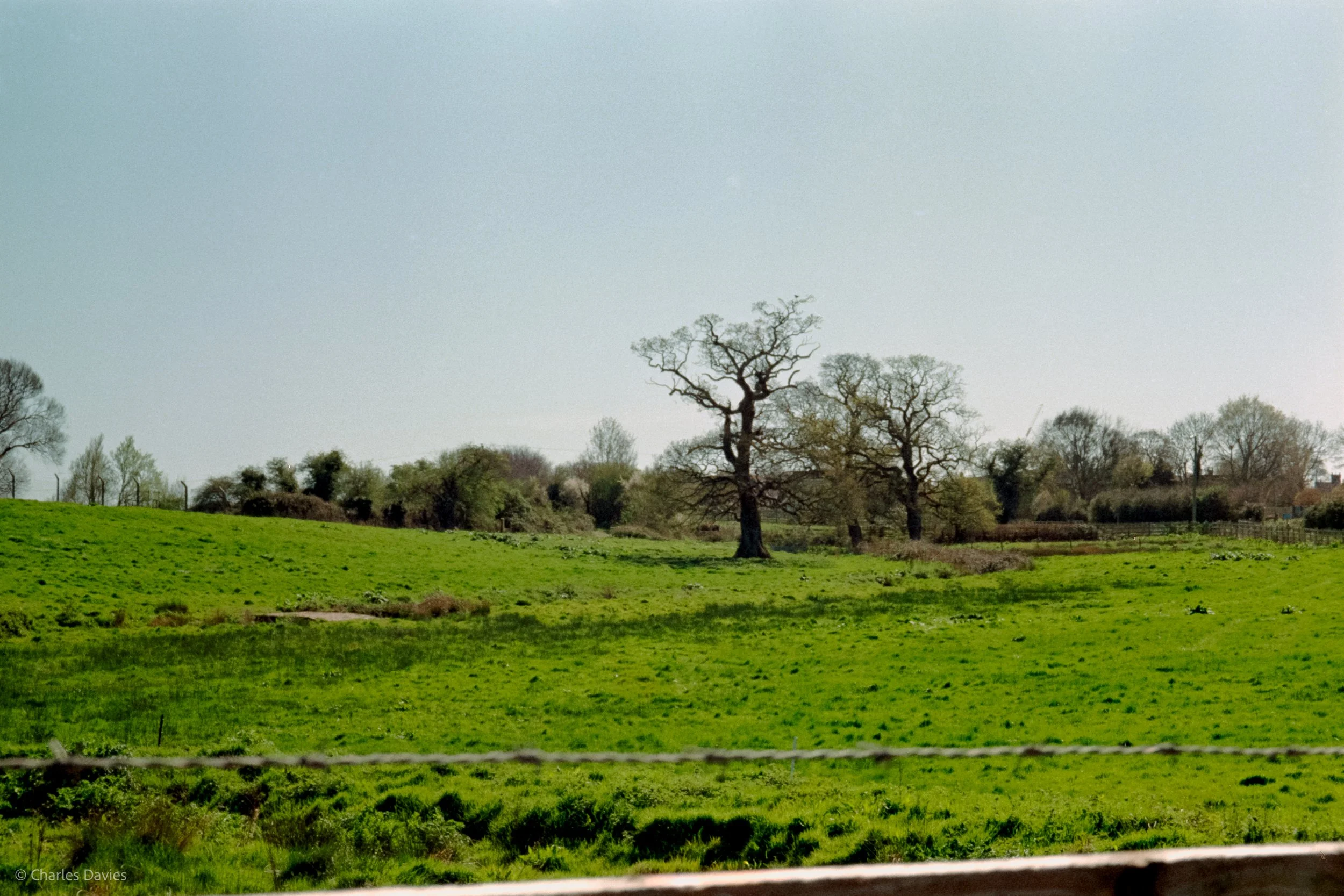 Shot 7 - Auto - Seaton Wetlands 