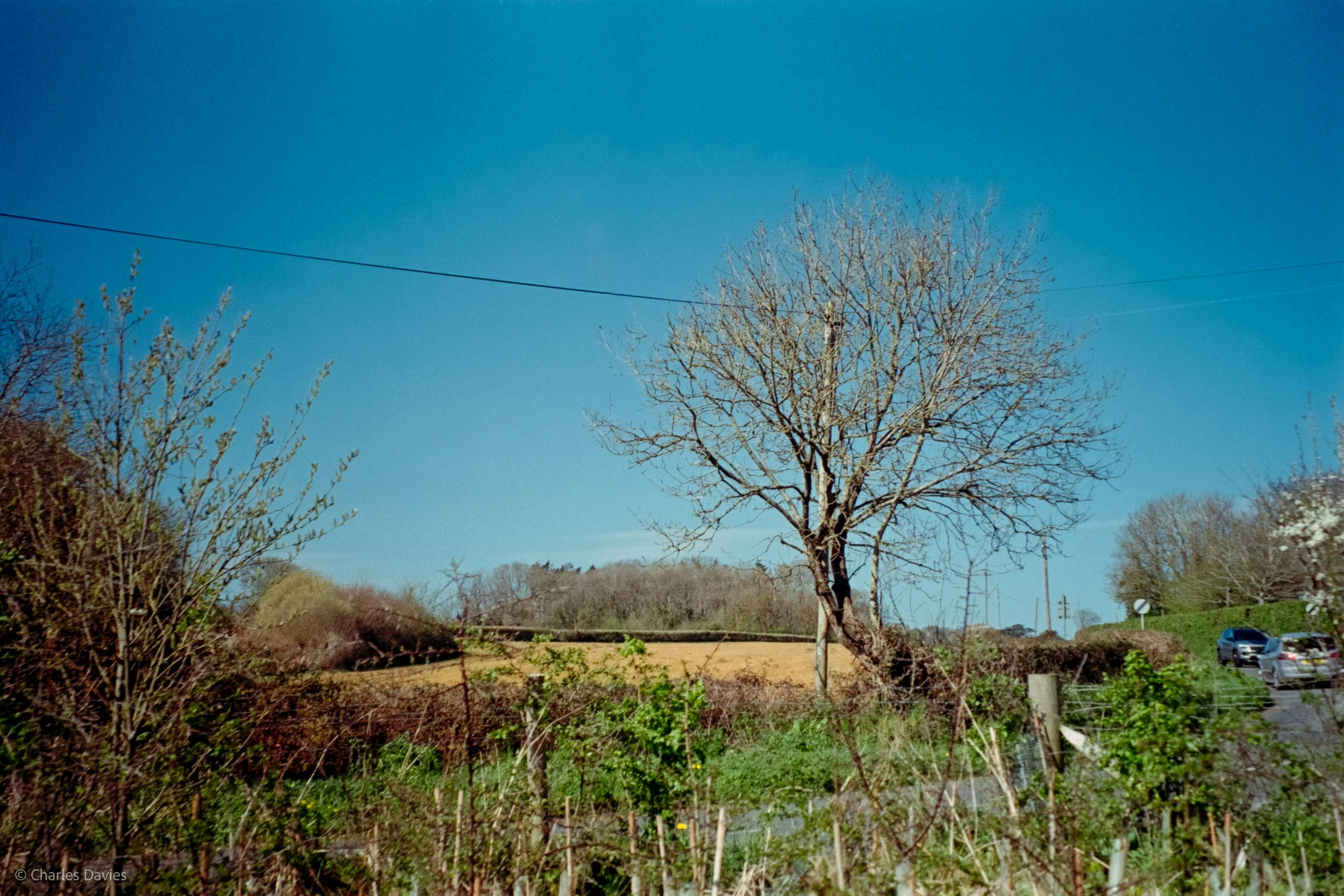 Shot 8 - Auto - Seaton Wetlands 