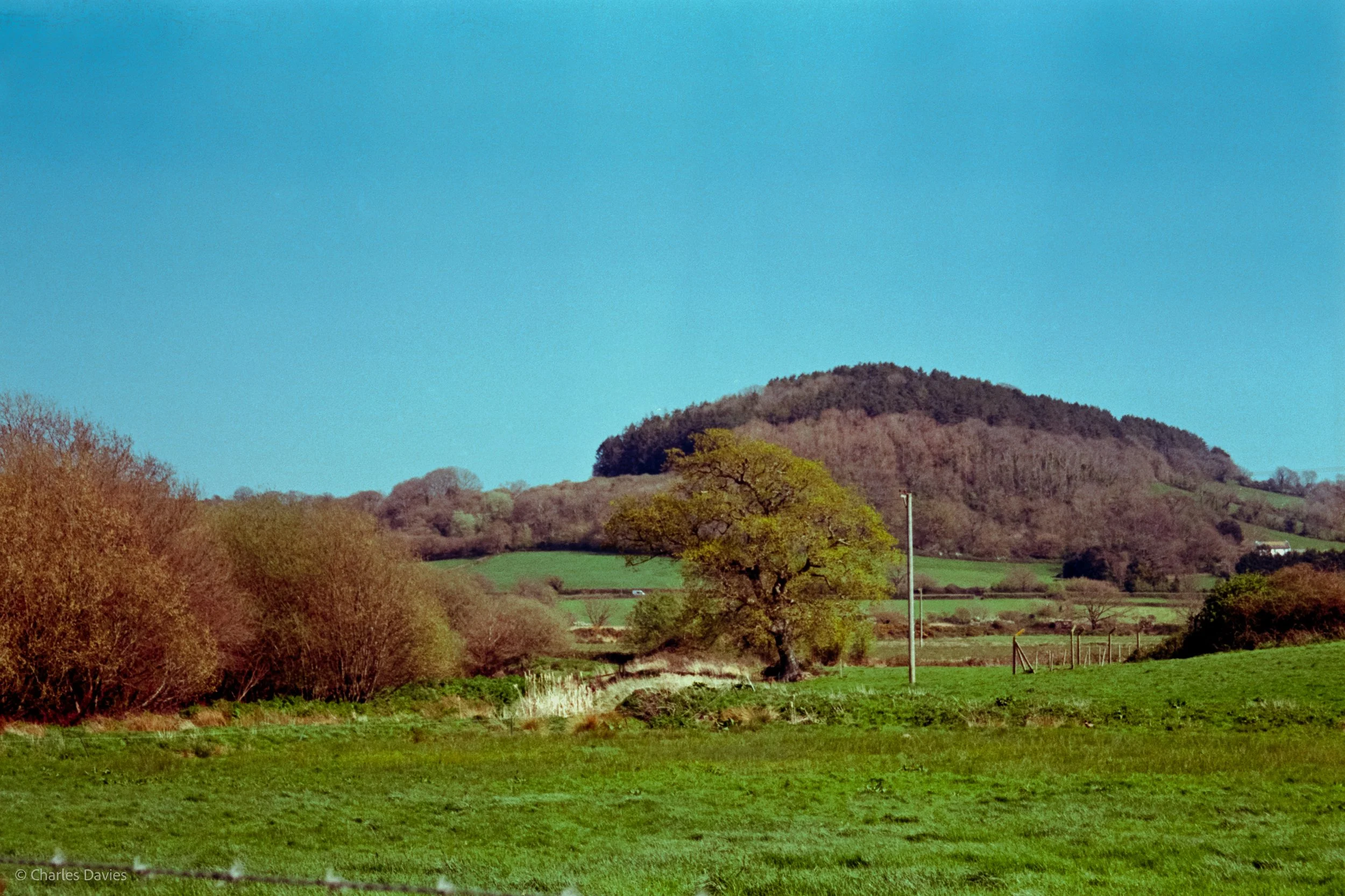Shot 9 - Auto - Seaton Wetlands 