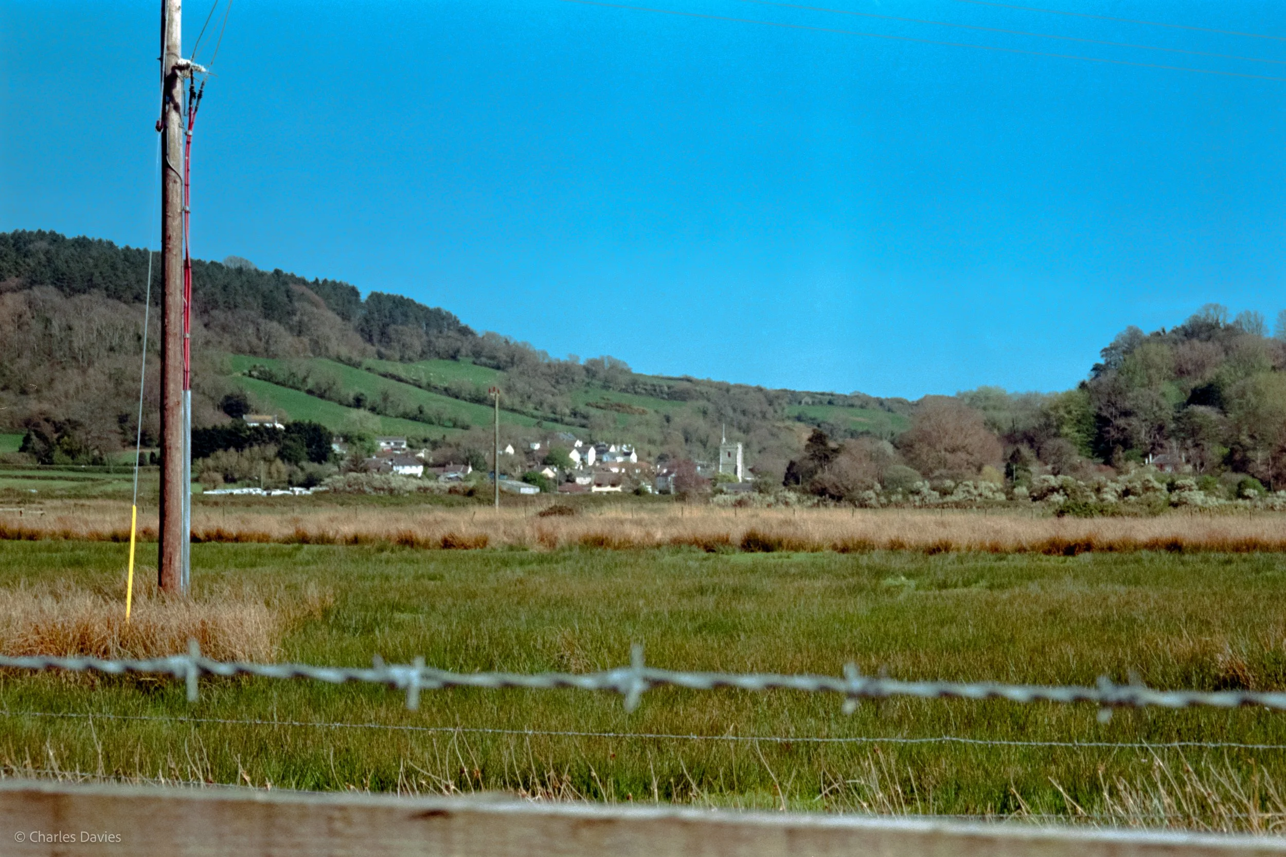 Shot 11 - Auto - Seaton Wetlands 