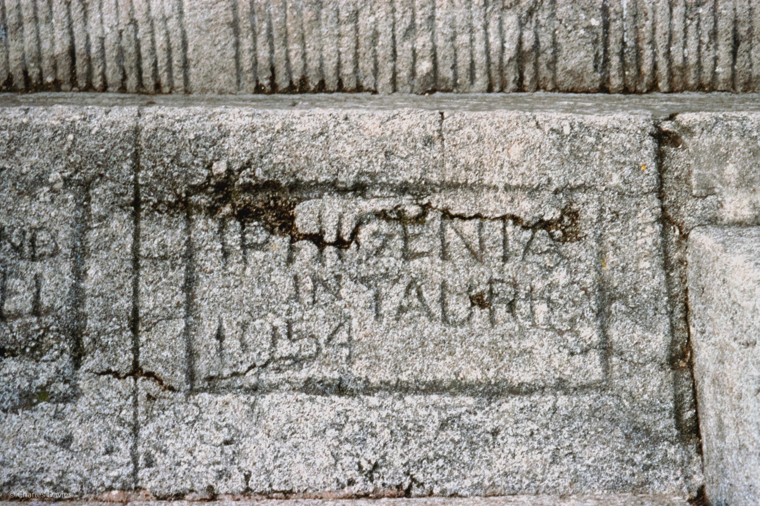 Image-10.jpg