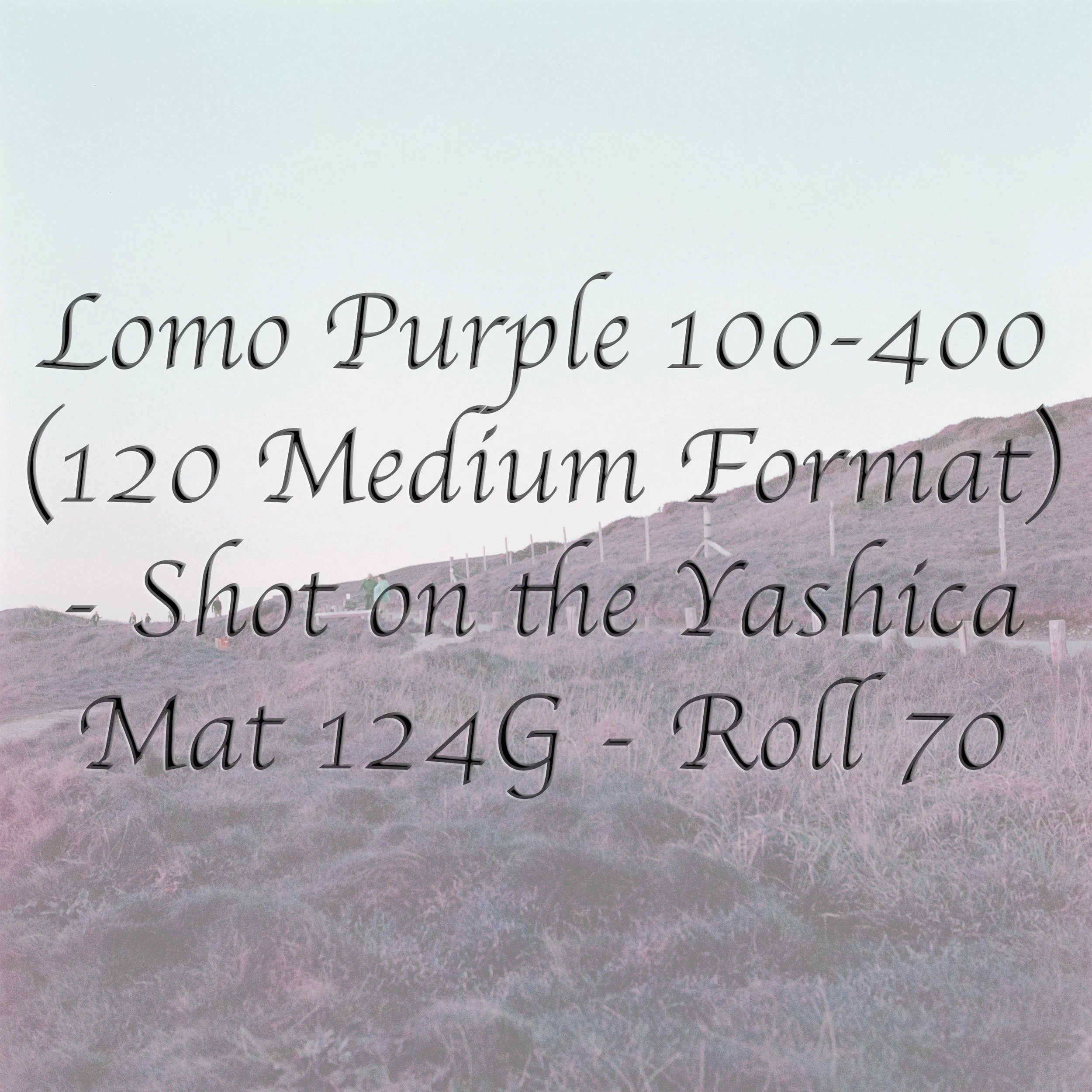Lomo Purple 100-400 - Roll 70