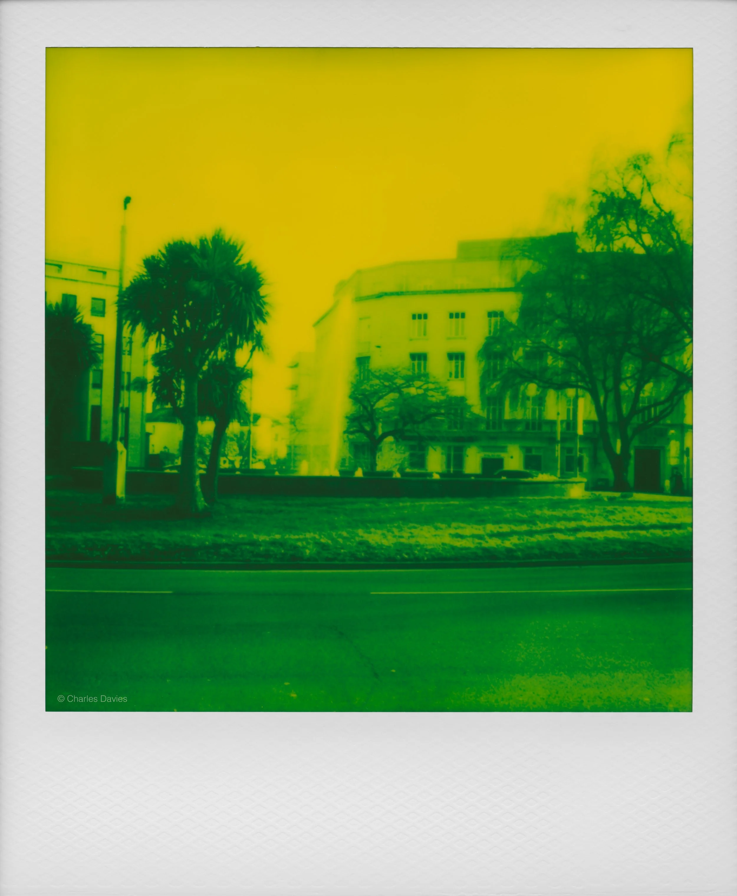 38 - 2025 - Polaroid SX-70 Sonar.jpg