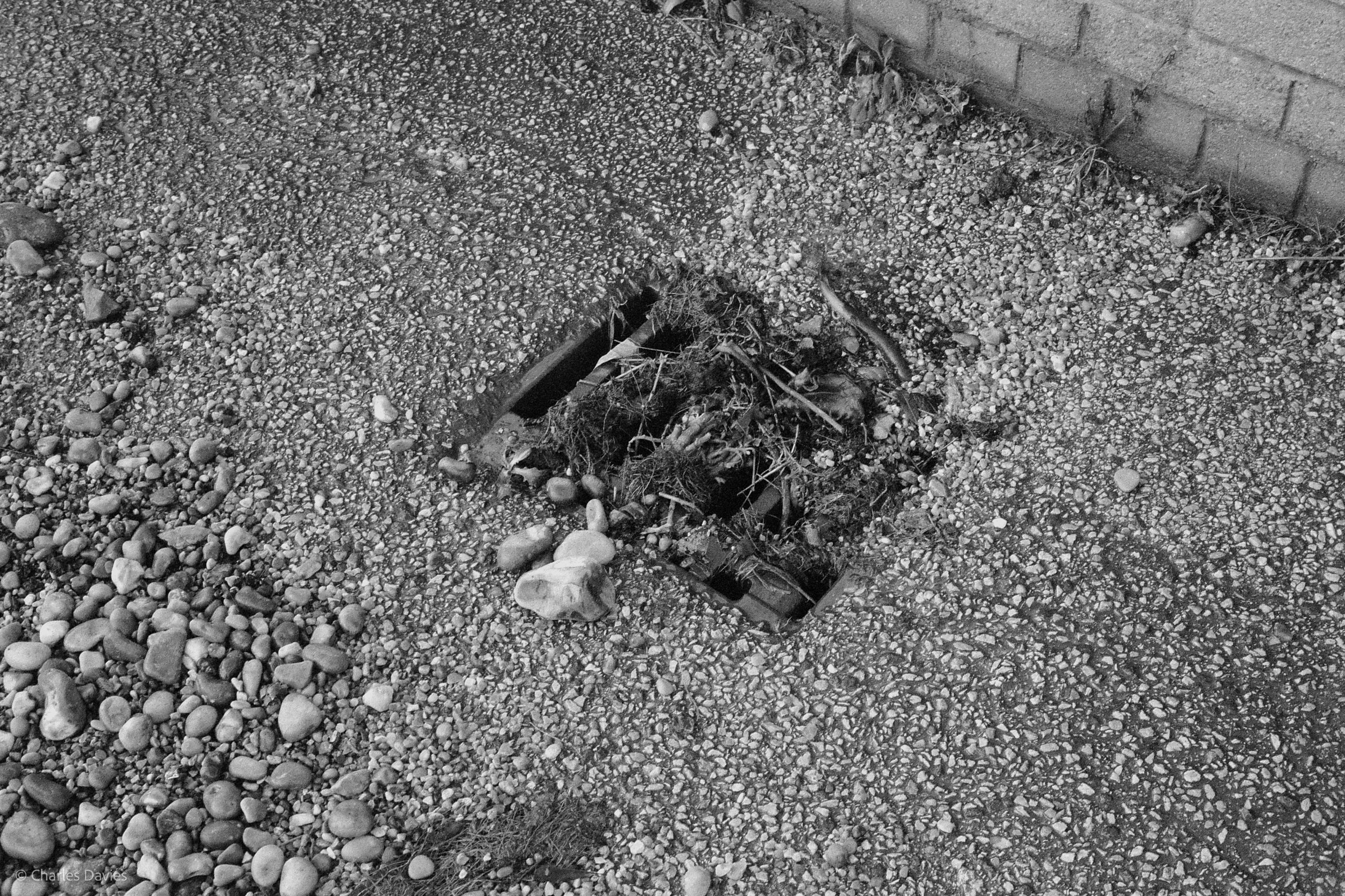 Roll 13 - 2023 - Europe - United Kingdom - Seaton - Ilford HP5 Plus 400 - Olympus 35DC - 35mm - Film - B&W  
