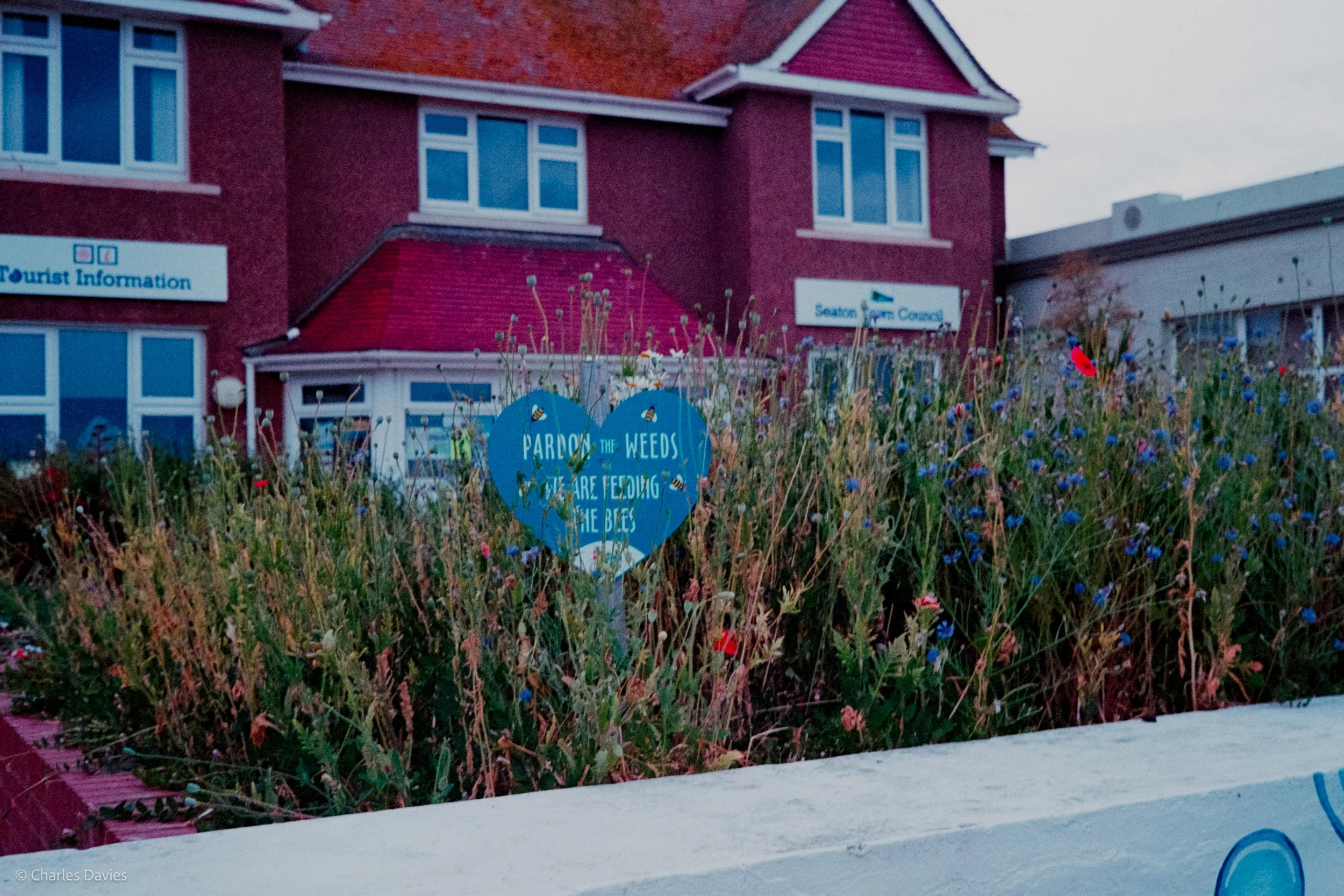 Roll 10 - 2023 - Europe - United Kingdom - Seaton - Kodak UltraMax 400 - Olympus 35DC - 35mm - Film - Colour 