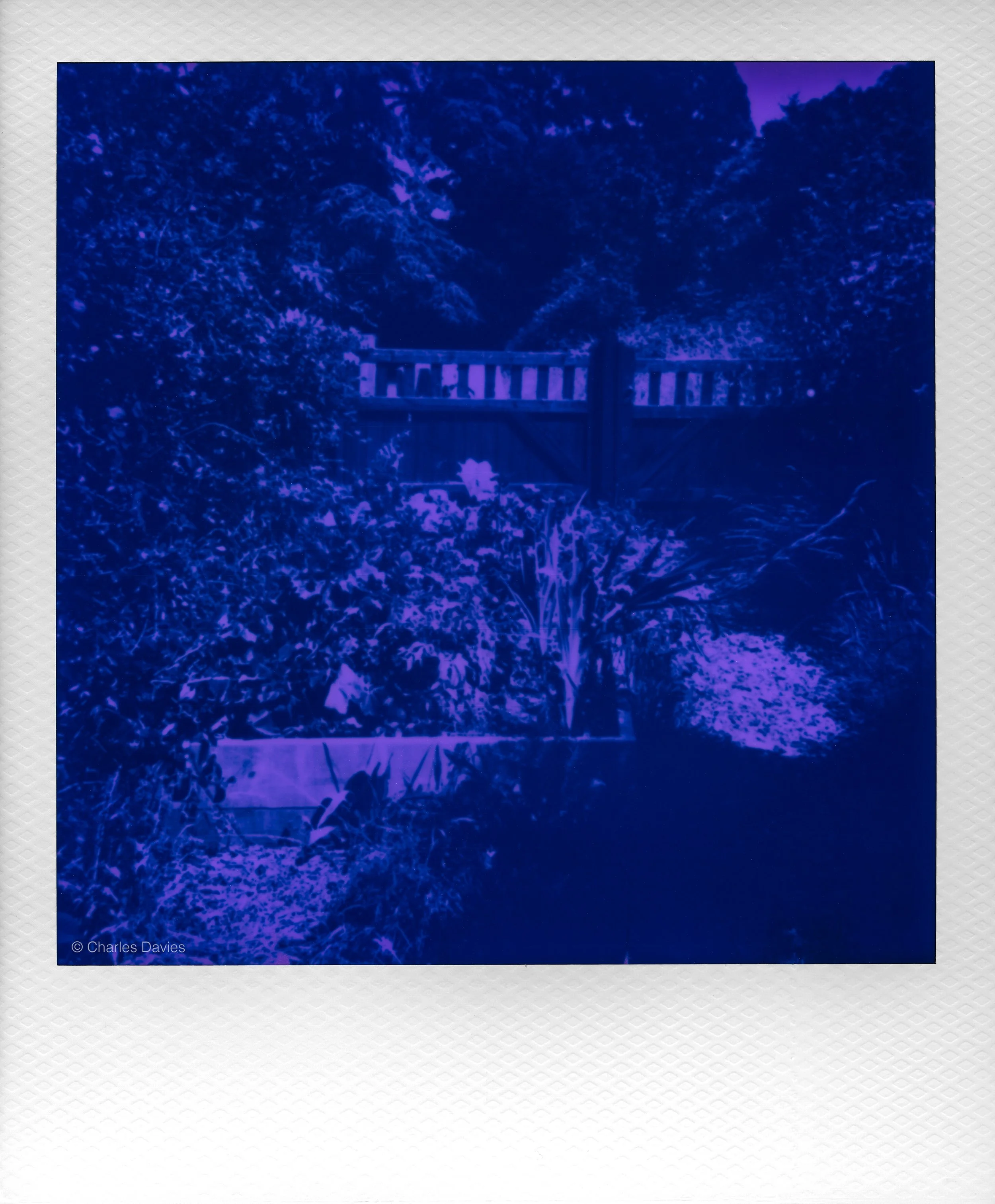 012 - 2026 - Polaroid Autofocus 660-12.jpg