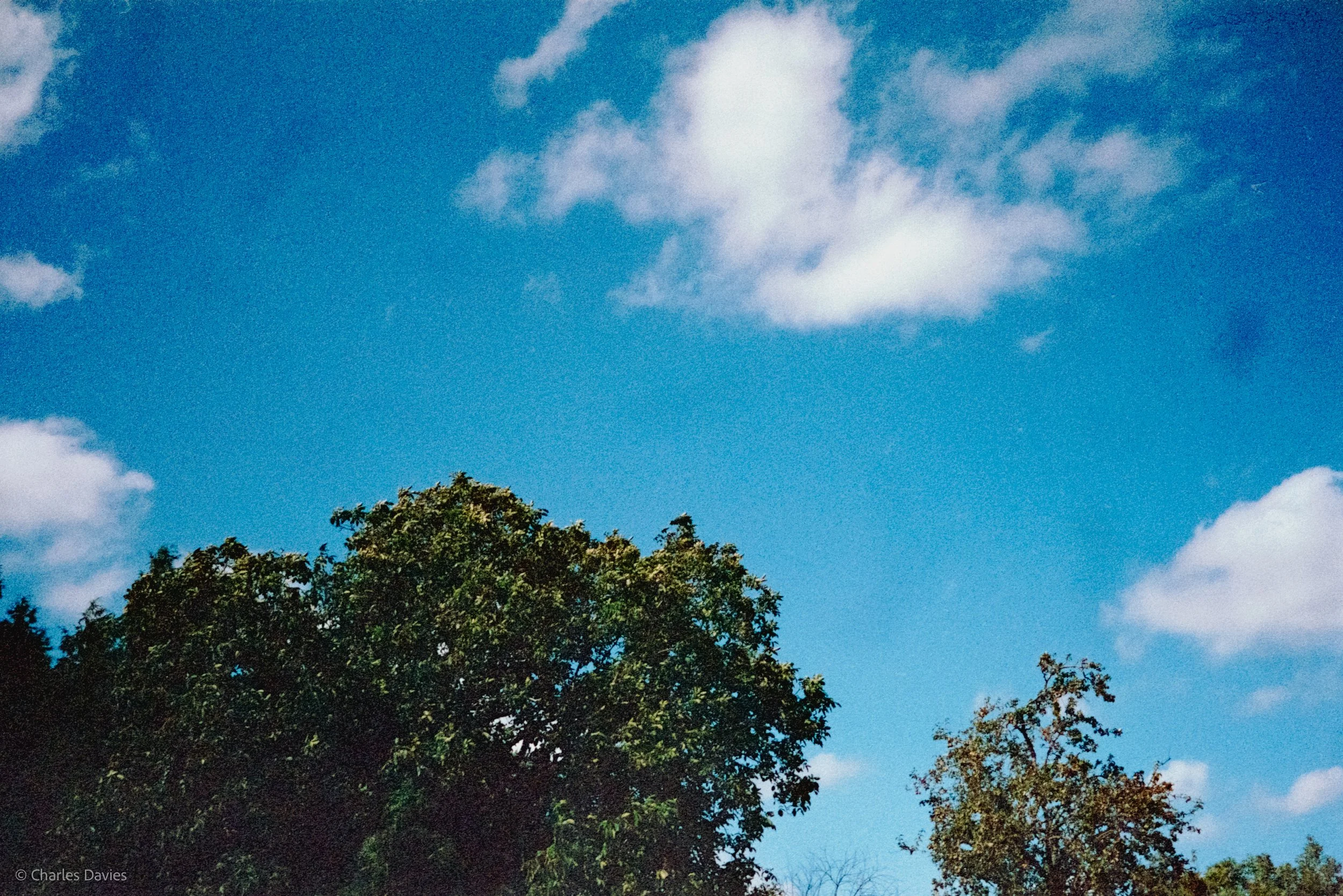 Roll 12 - 2023 - Europe - United Kingdom - Shute - Kodak UltraMax 400 - Olympus 35DC - 35mm - Film - Colour 