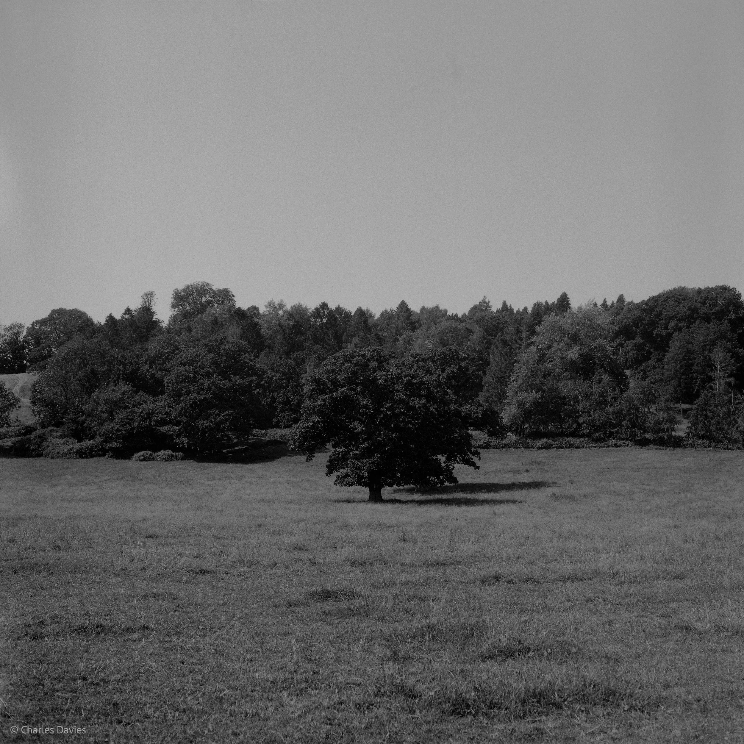 Shot 3 - F/8 + 1/60th - Axminster 