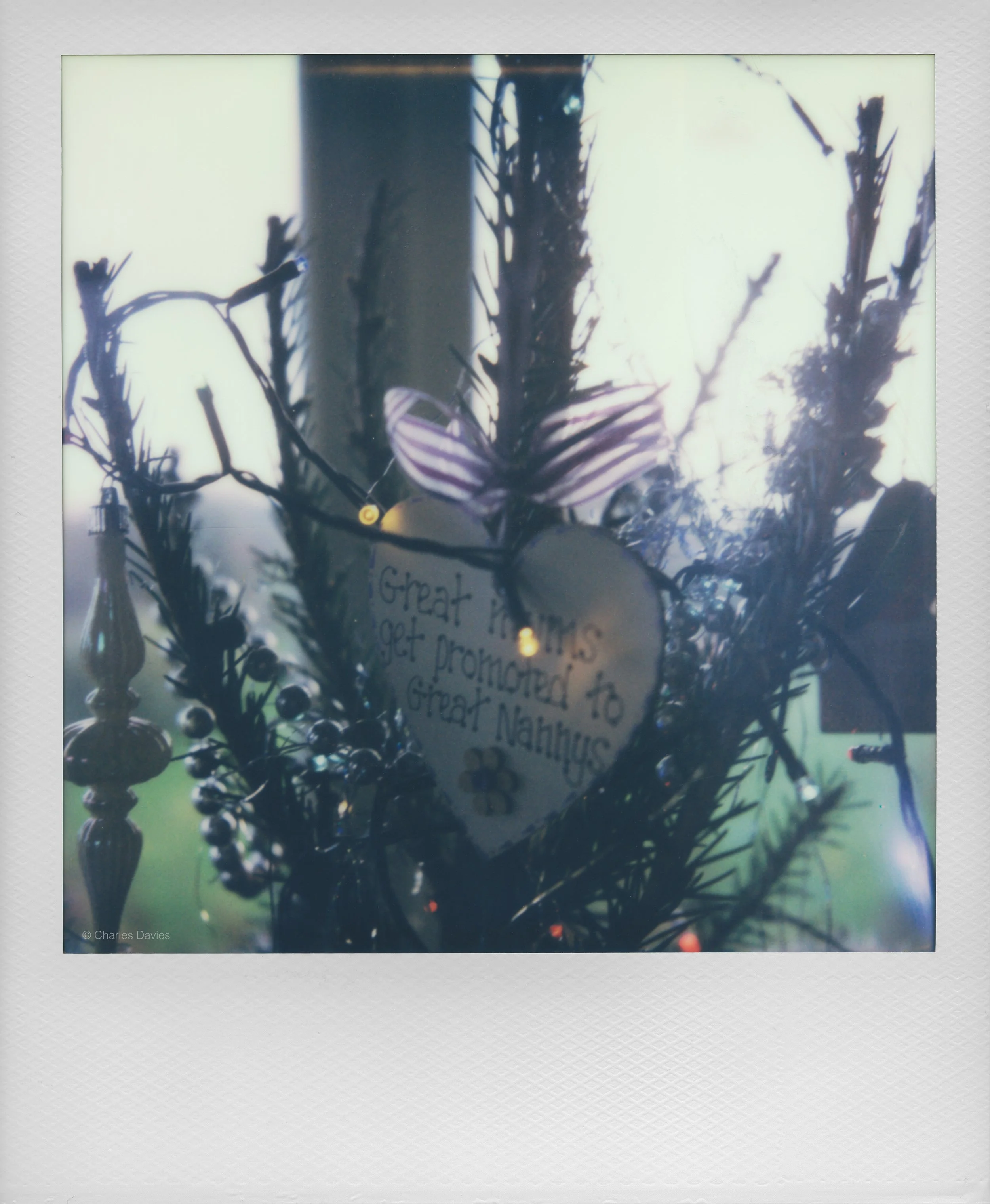 127 - 2022 - Polaroid SX-70 Sonar.jpg