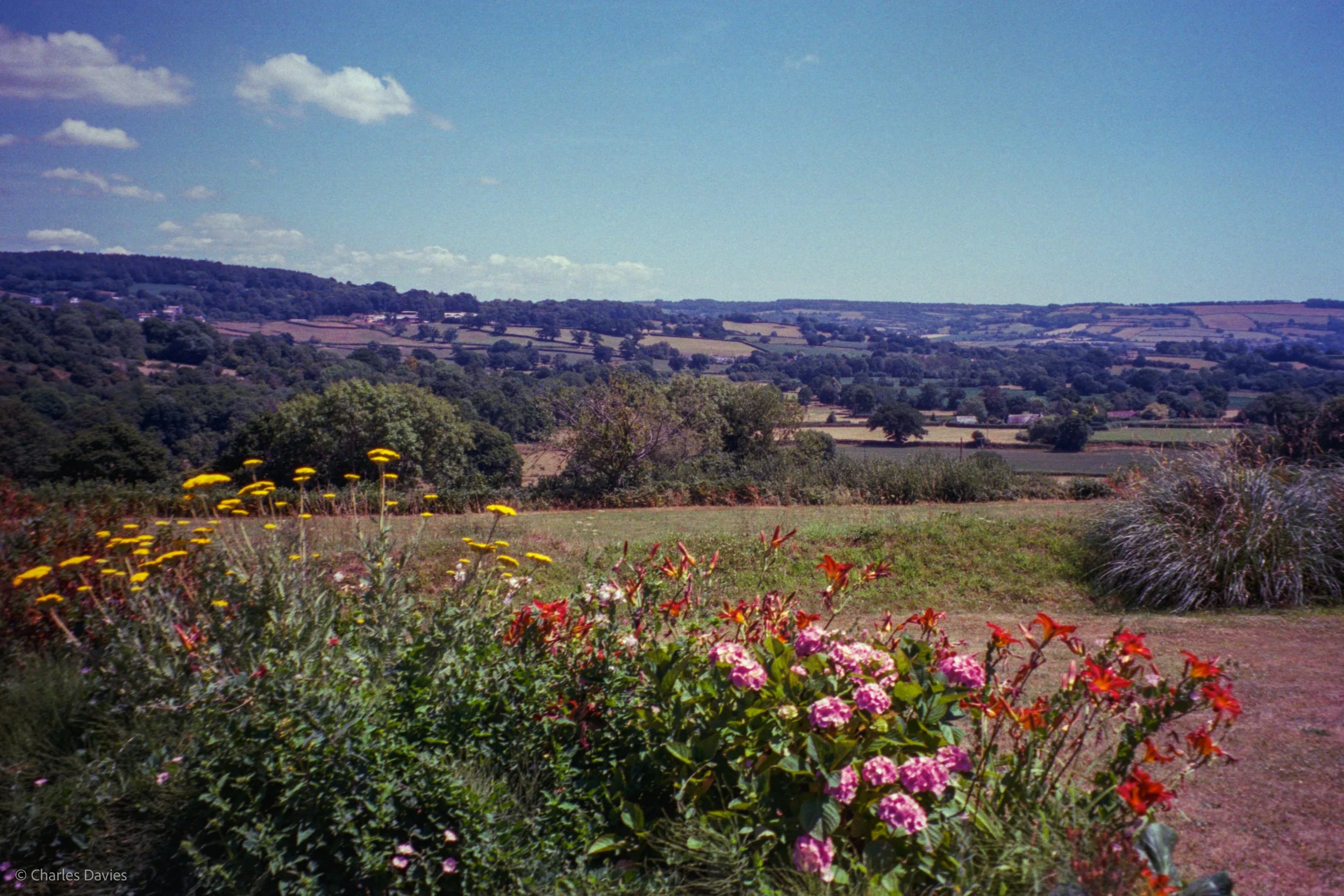 Roll 42 - 2025 - Europe - United Kingdom - Shute - Kodak UltraMax 400 - Pentax Espio 738S - 35mm - Film - Colour