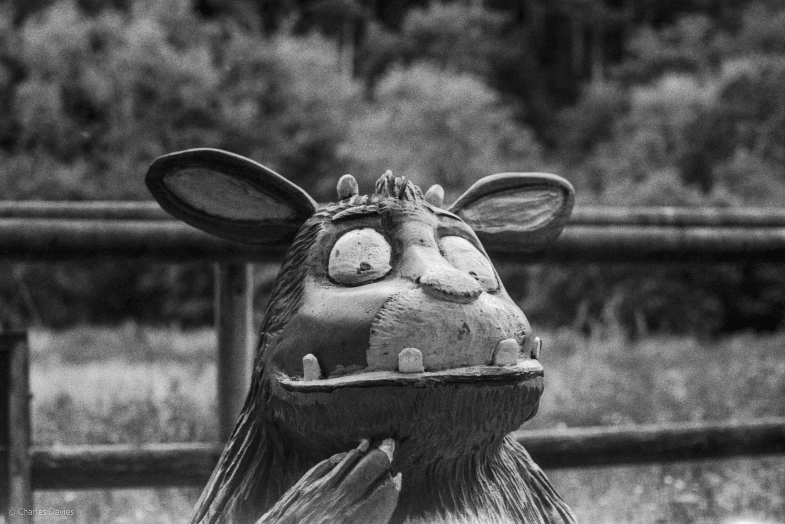 Roll 31 - 2025 - Europe - United Kingdom - Cardinham - Fomapan 400 - Contax RTS - 35mm - Film - B&W
