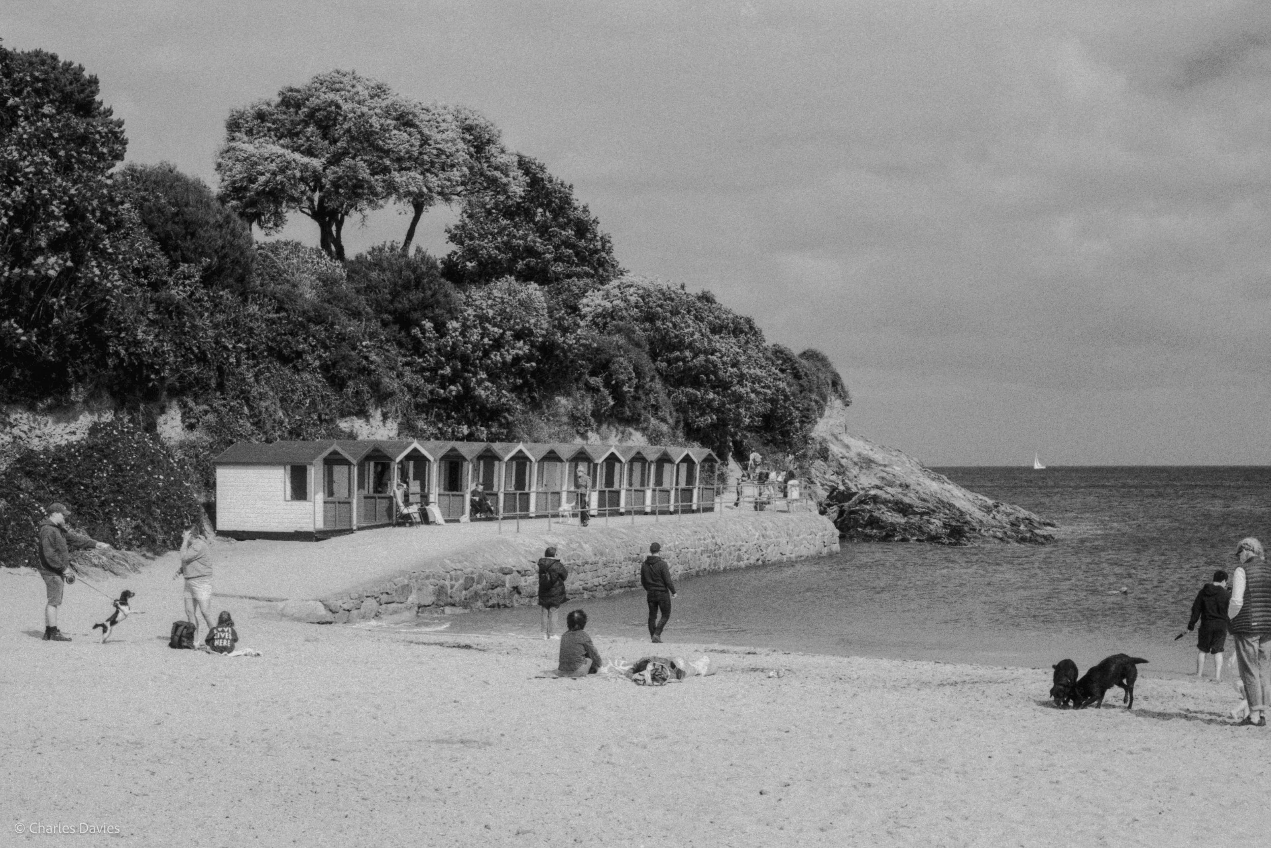 Roll 33 - 2025 - Europe - United Kingdom - Swanpool - Kentmere Pan 400 - Contax RTS - 35mm - Film - B&W