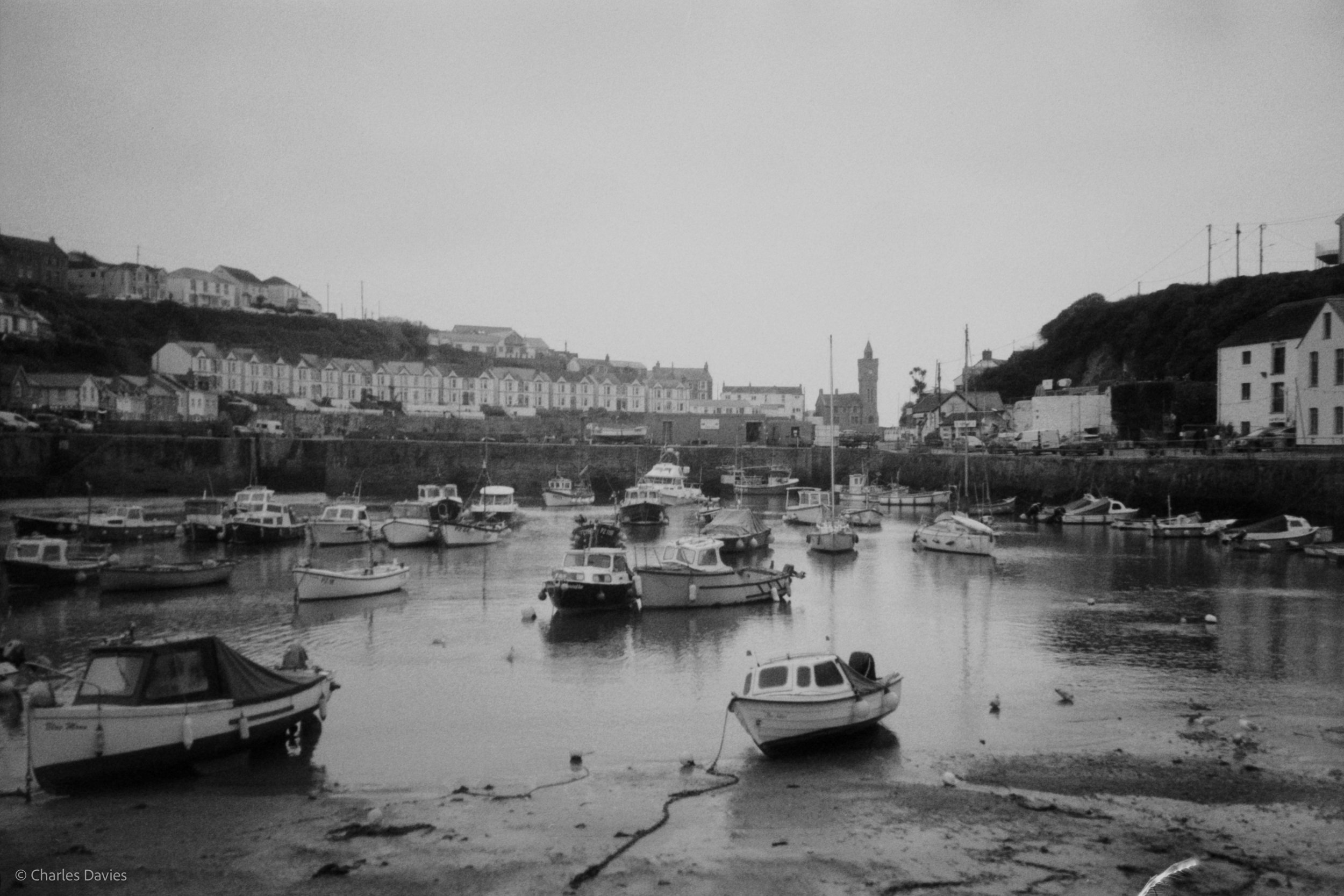 Image-10.jpg