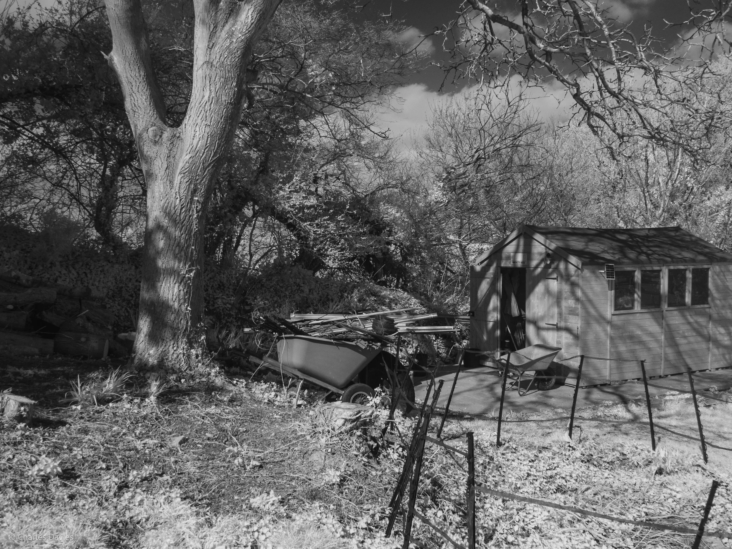 Manual - ISO 400 + F/8 + 1/800th - Home 