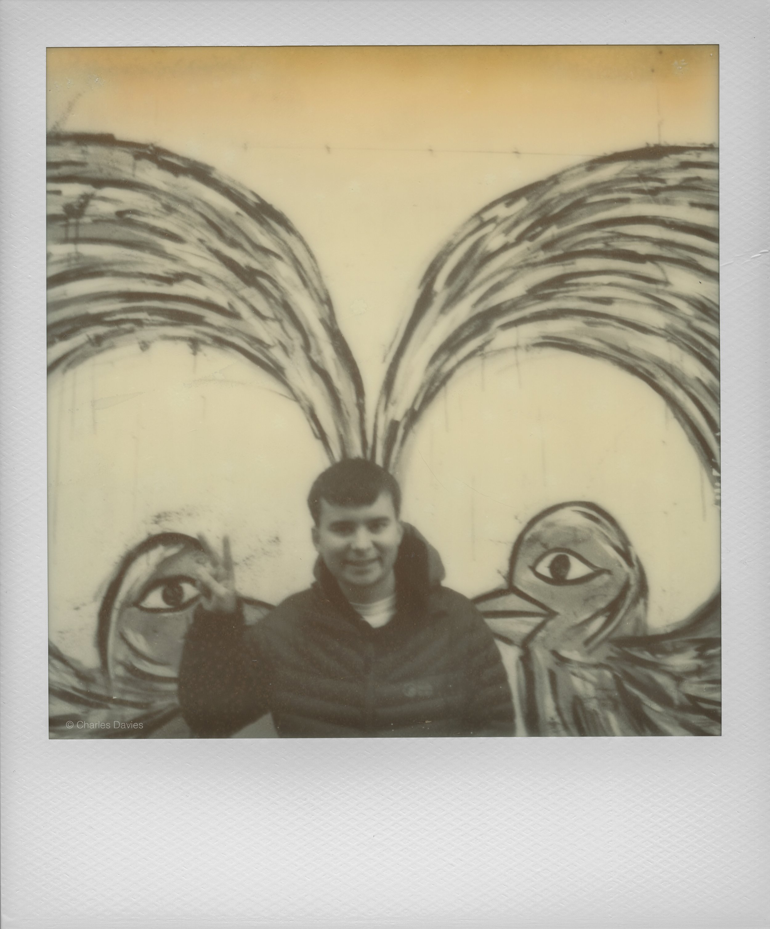 104 - 2022 - Polaroid SX-70 (aged).jpg
