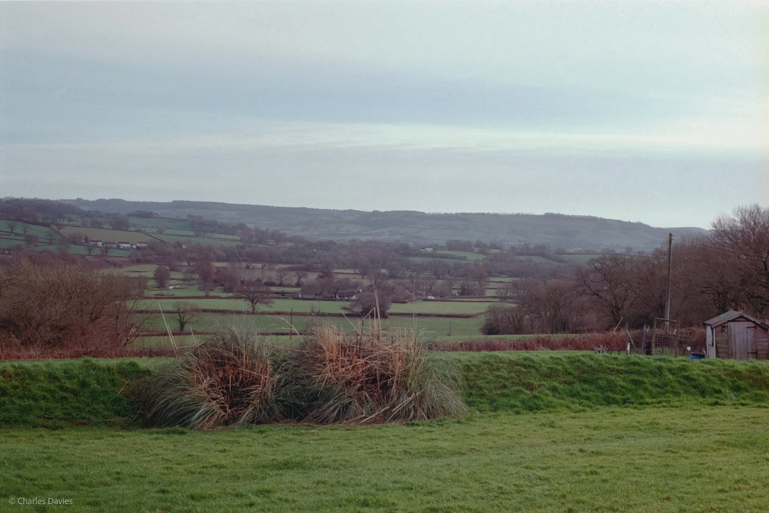 Roll 18 - 2025 - Europe - United Kingdom - Shute - Kodak UltraMax 400 - Contax RTS - 35mm - Film - Colour 