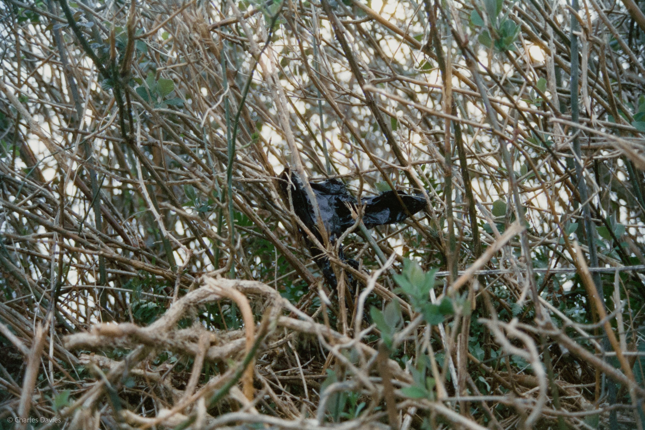 Shot 36 - Auto - Home 