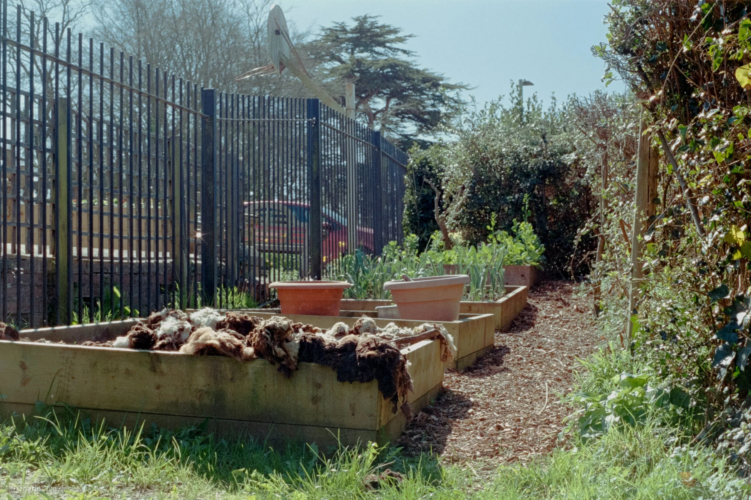 Shot 37 - Aperture Priority - Axminster 