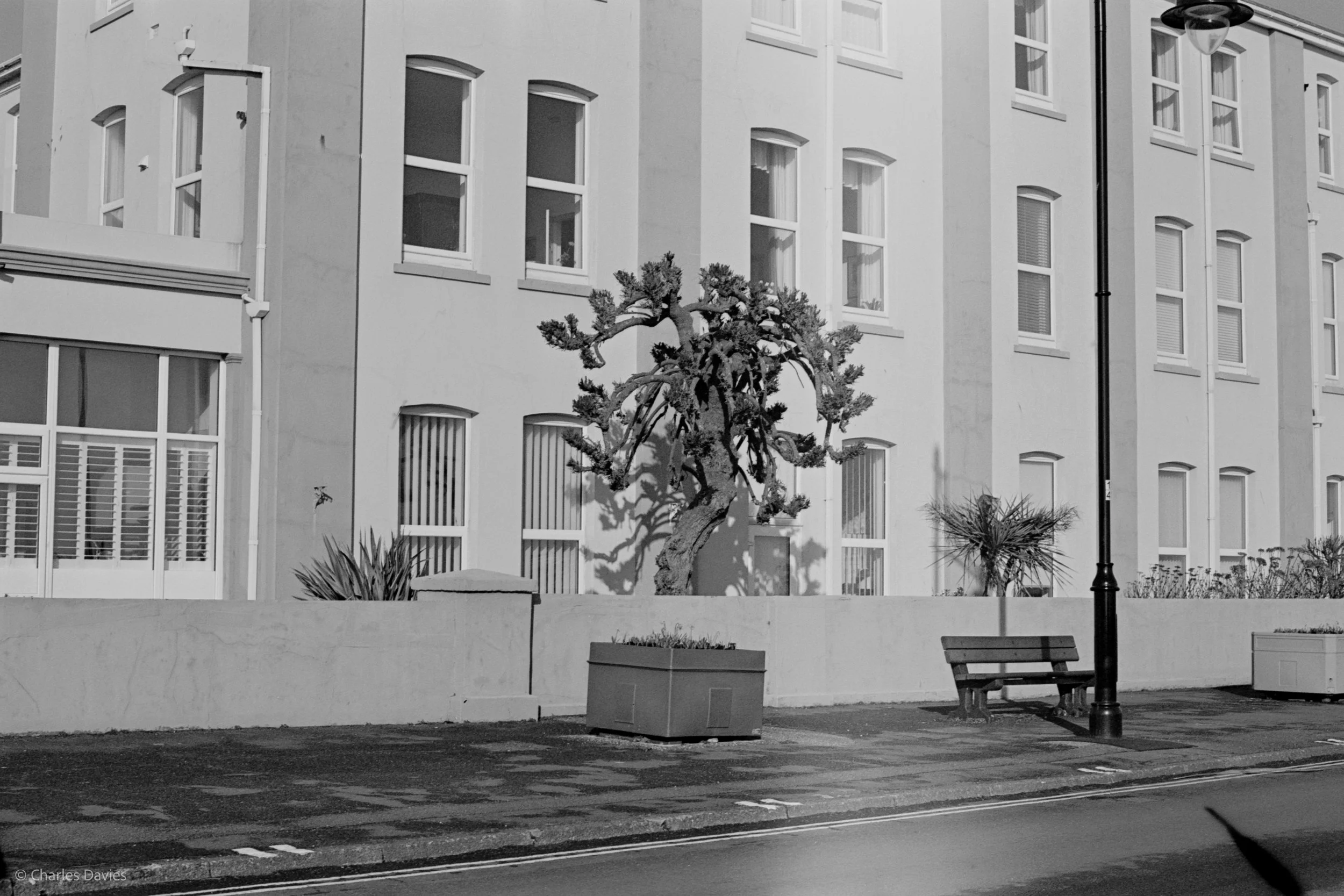 Shot 2 - F/16 + 1/500th - Seaton 