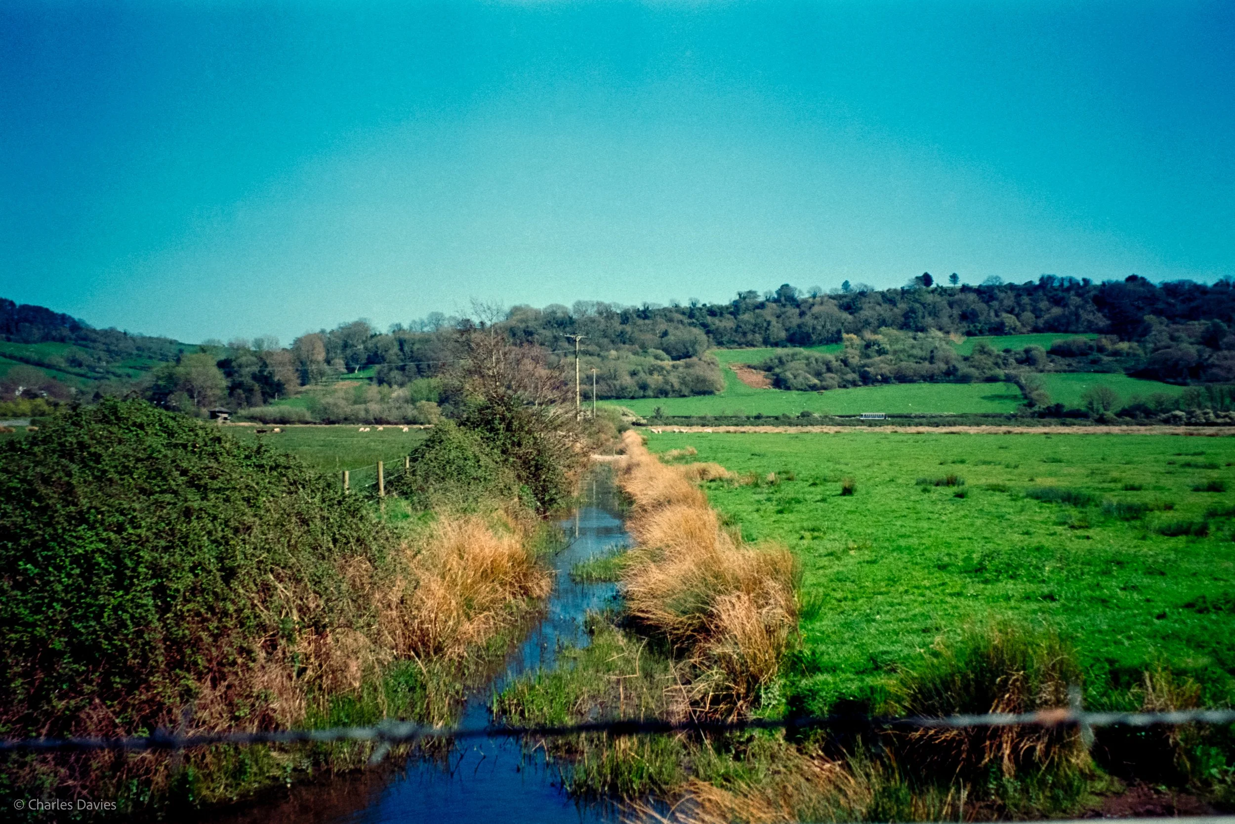Shot 17 - Auto - Seaton Wetlands 