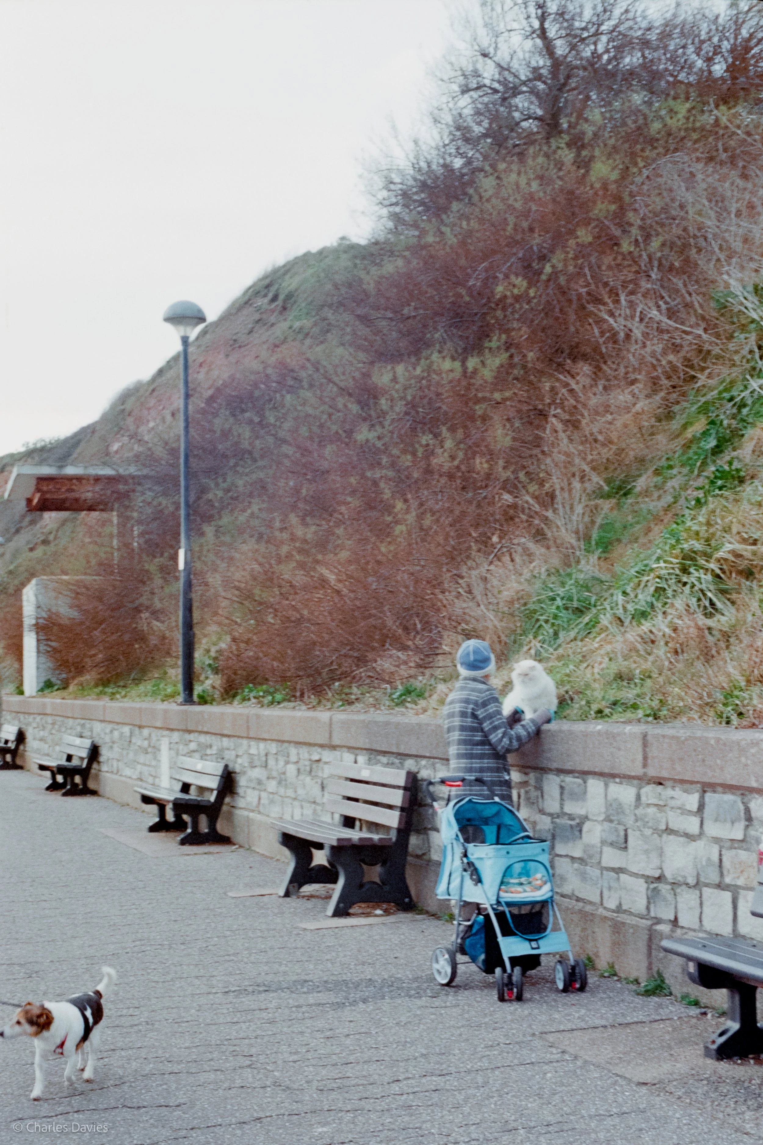 Roll 18 - 2025 - Europe - United Kingdom - Seaton - Kodak UltraMax 400 - Contax RTS - 35mm - Film - Colour 