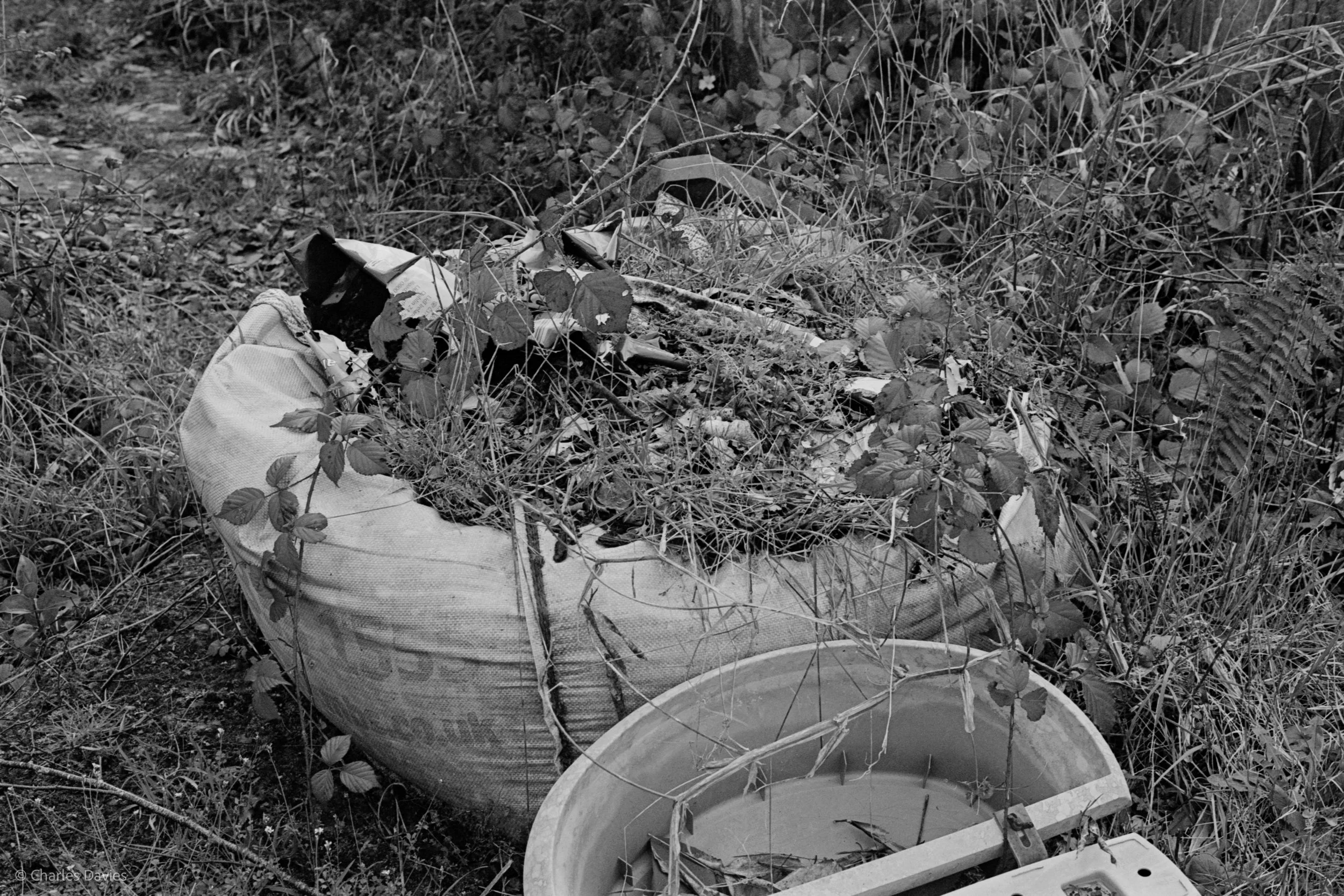 Shot 27 - F/8 + 1/250th - Home 