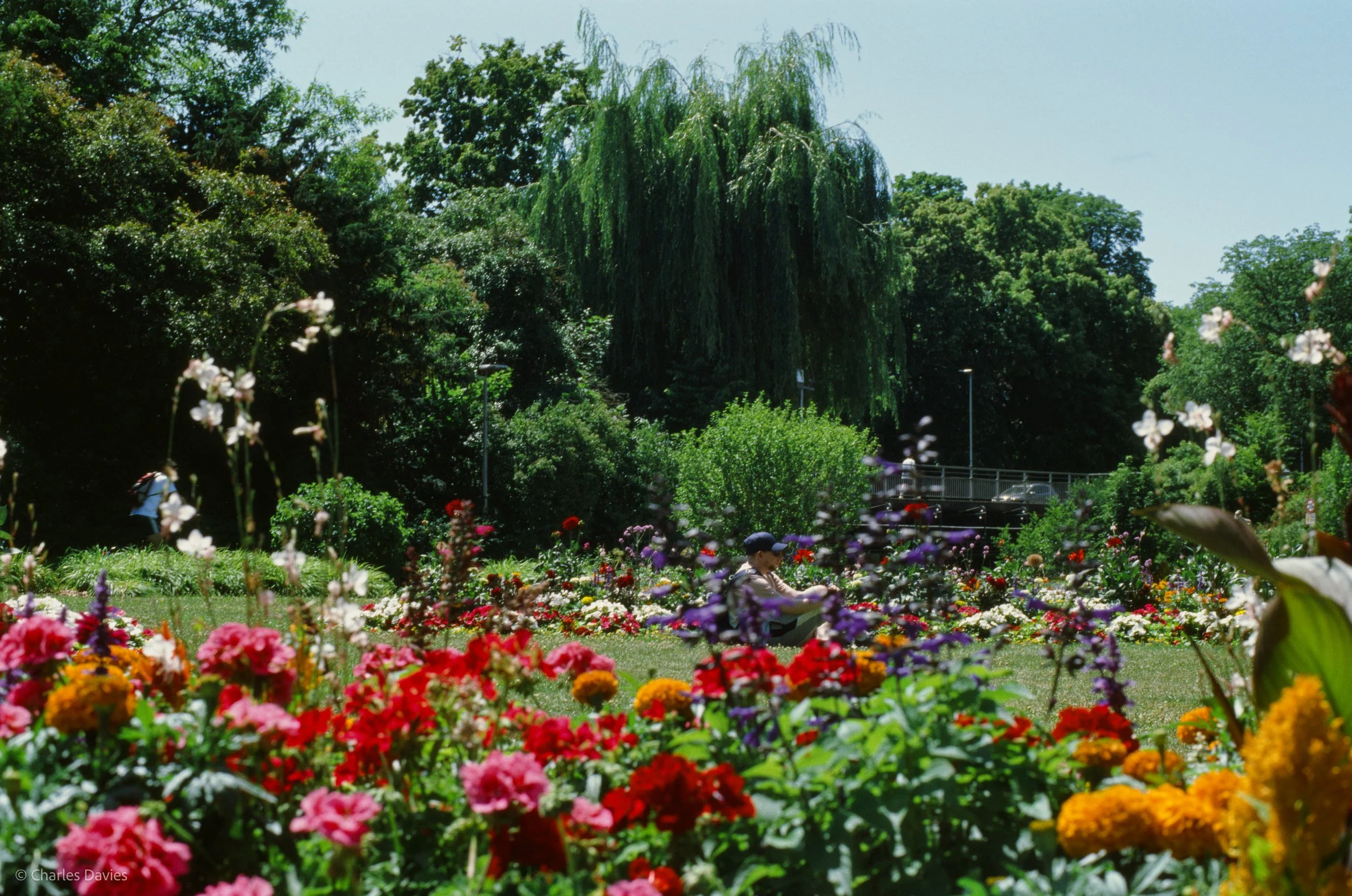 Roll 39 - 2025 - Europe - Germany - Amberg - Kodak Ektachrome 100 - Contax RTS - 35mm - Film - Colour - Colour Reversal/Slide Film