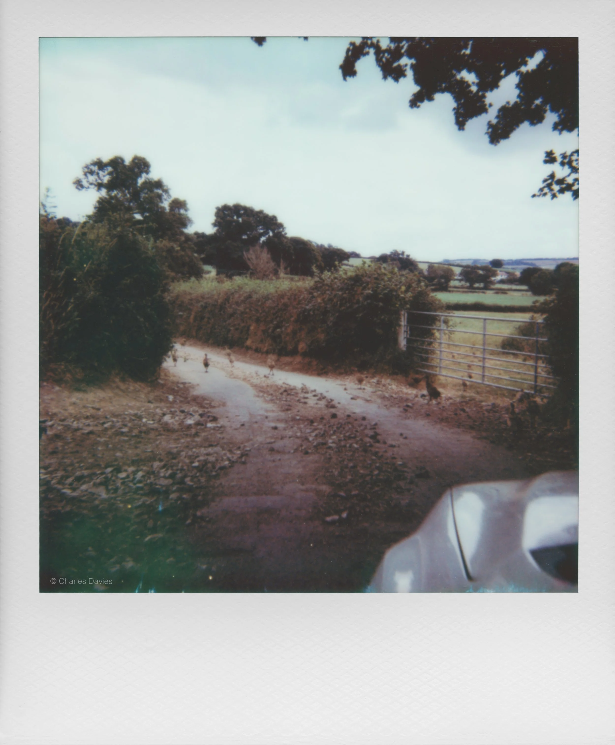 75 - 2025 - Polaroid Autofocus 660.jpg